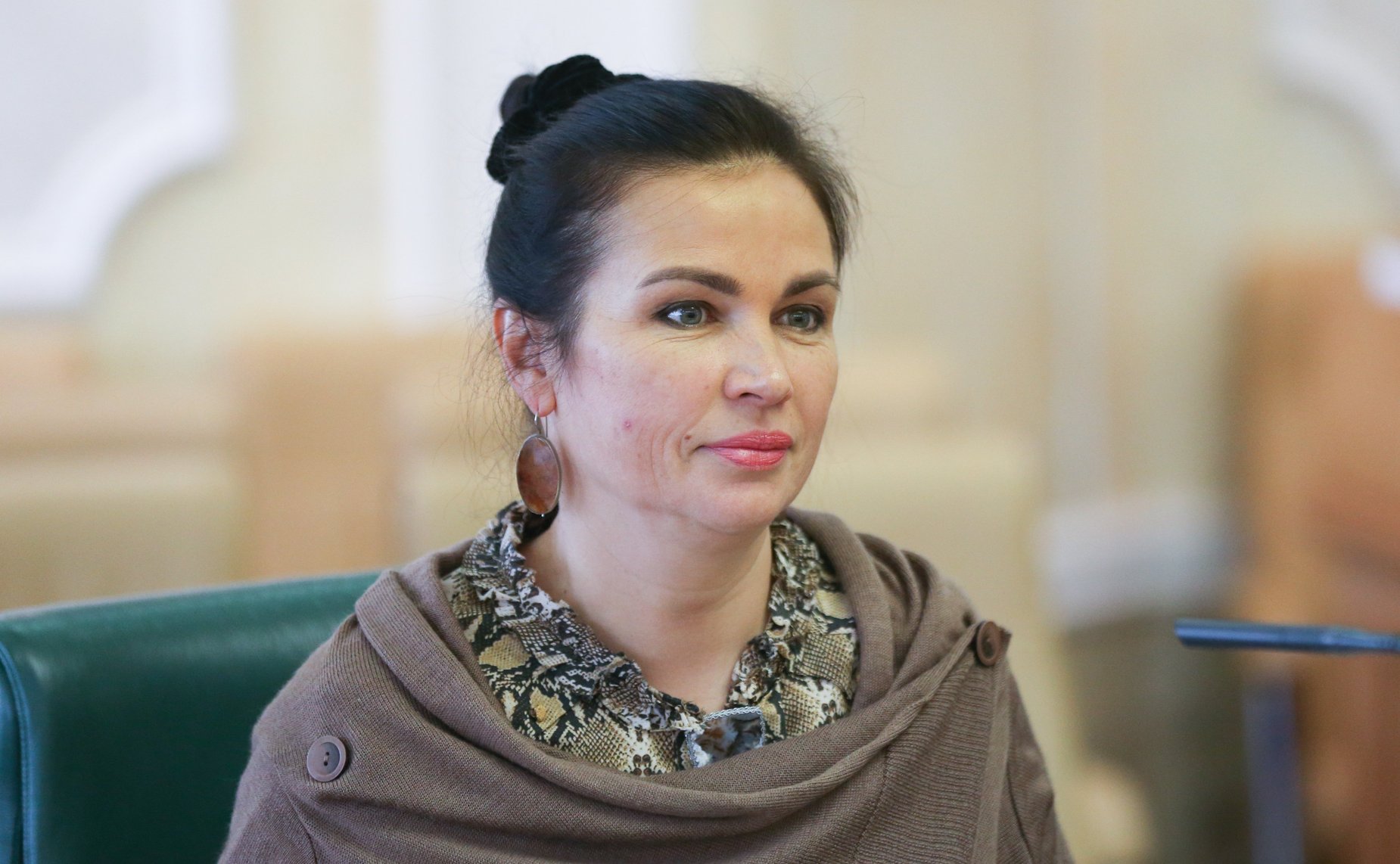 Заседание Комитета Совета Федерации по конституционному законодательству и государственному строительству