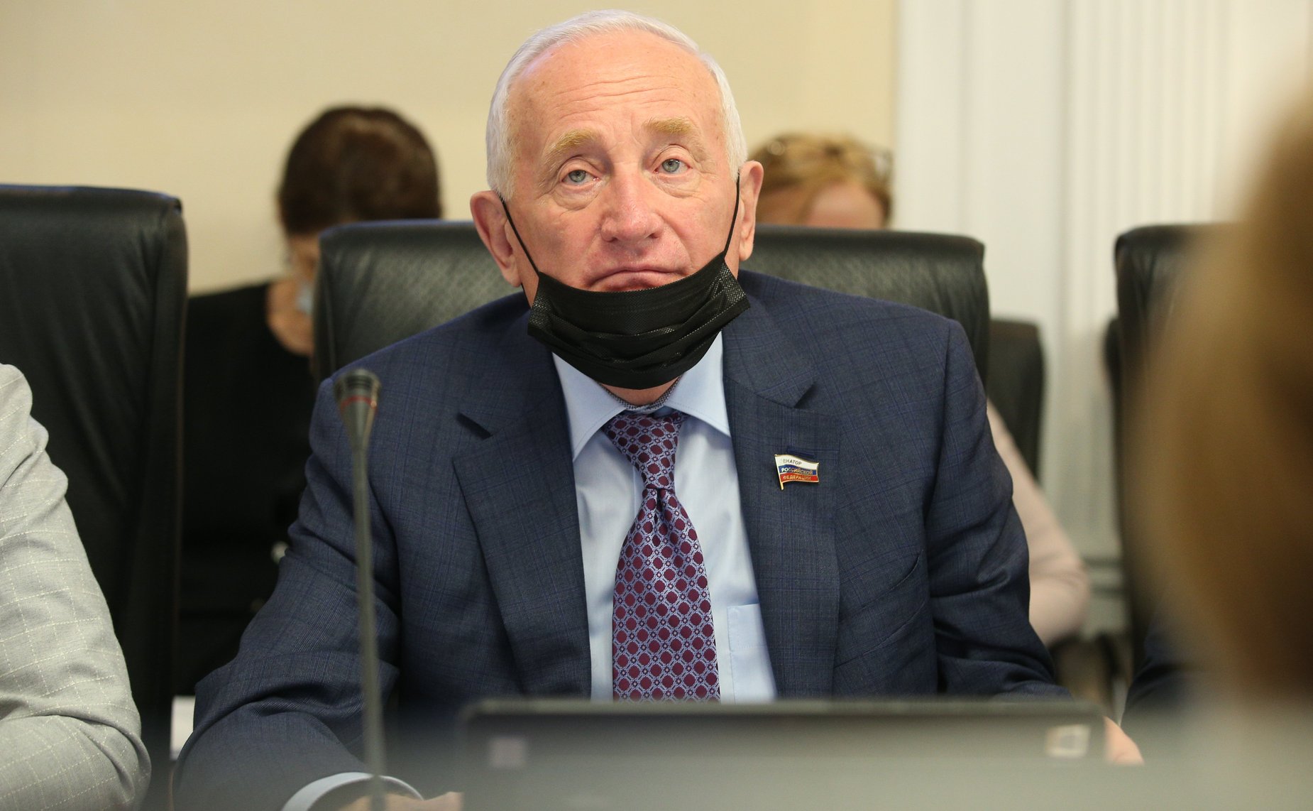 Заседание Комитета СФ по науке, образованию и культуре