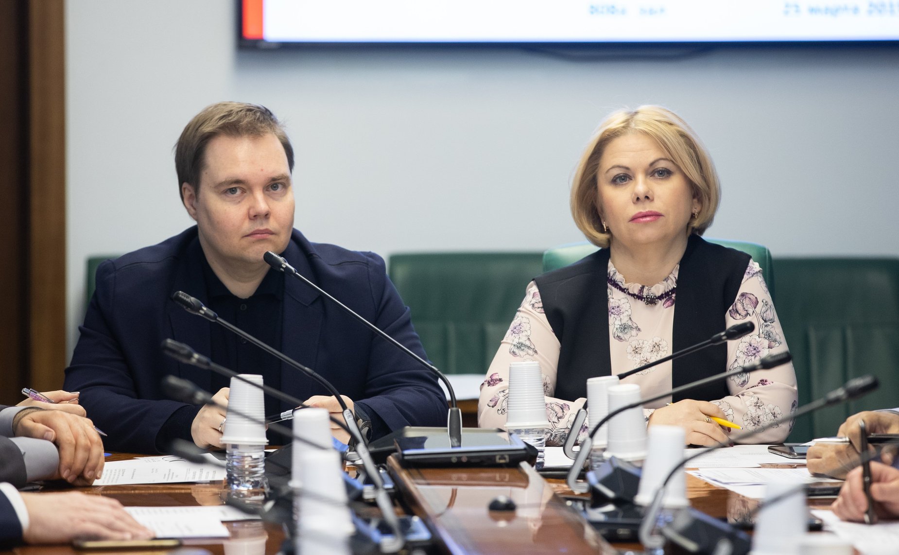 Заседание Экспертно-консультативного совета при Комитете СФ по конституционному законодательству и государственному строительству