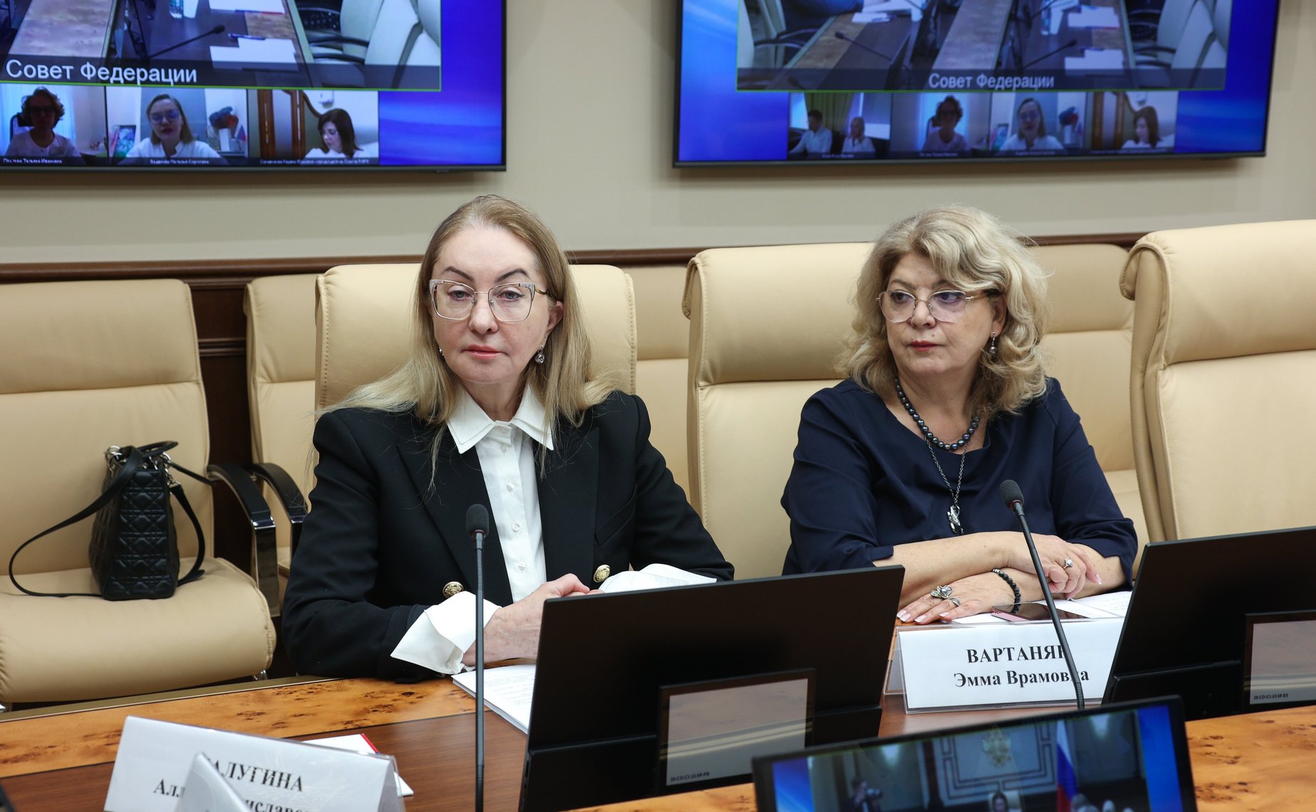 Круглый стол Комитета Совета Федерации по социальной политике на тему «Поддержание репродуктивного здоровья населения: лучшие региональные практики»