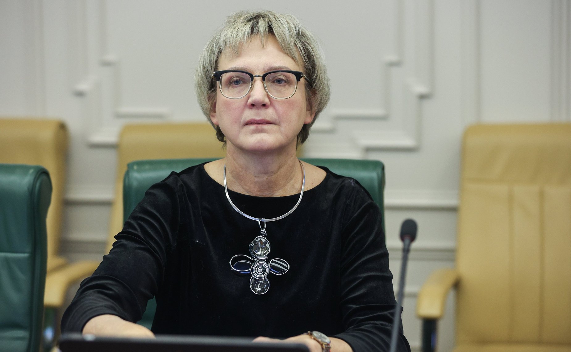 Круглый стола Комитета СФ по науке, образованию и культуре «О проекте концепции развития дошкольного образования на период до 2030 года»