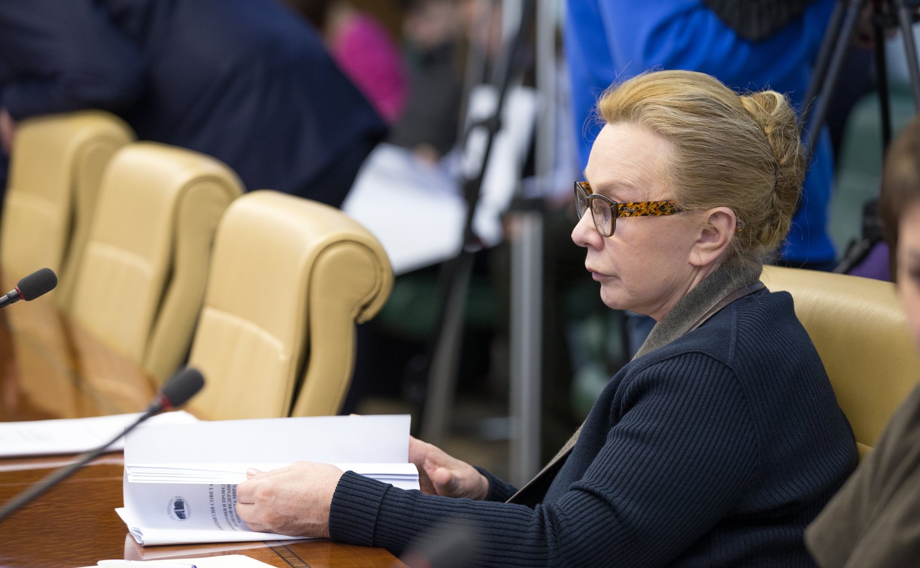 Л. Косткина Заседание Временной комиссии СФ по вопросам подготовки и проведения в 2018 г. в РФ чемпионата мира по футболу