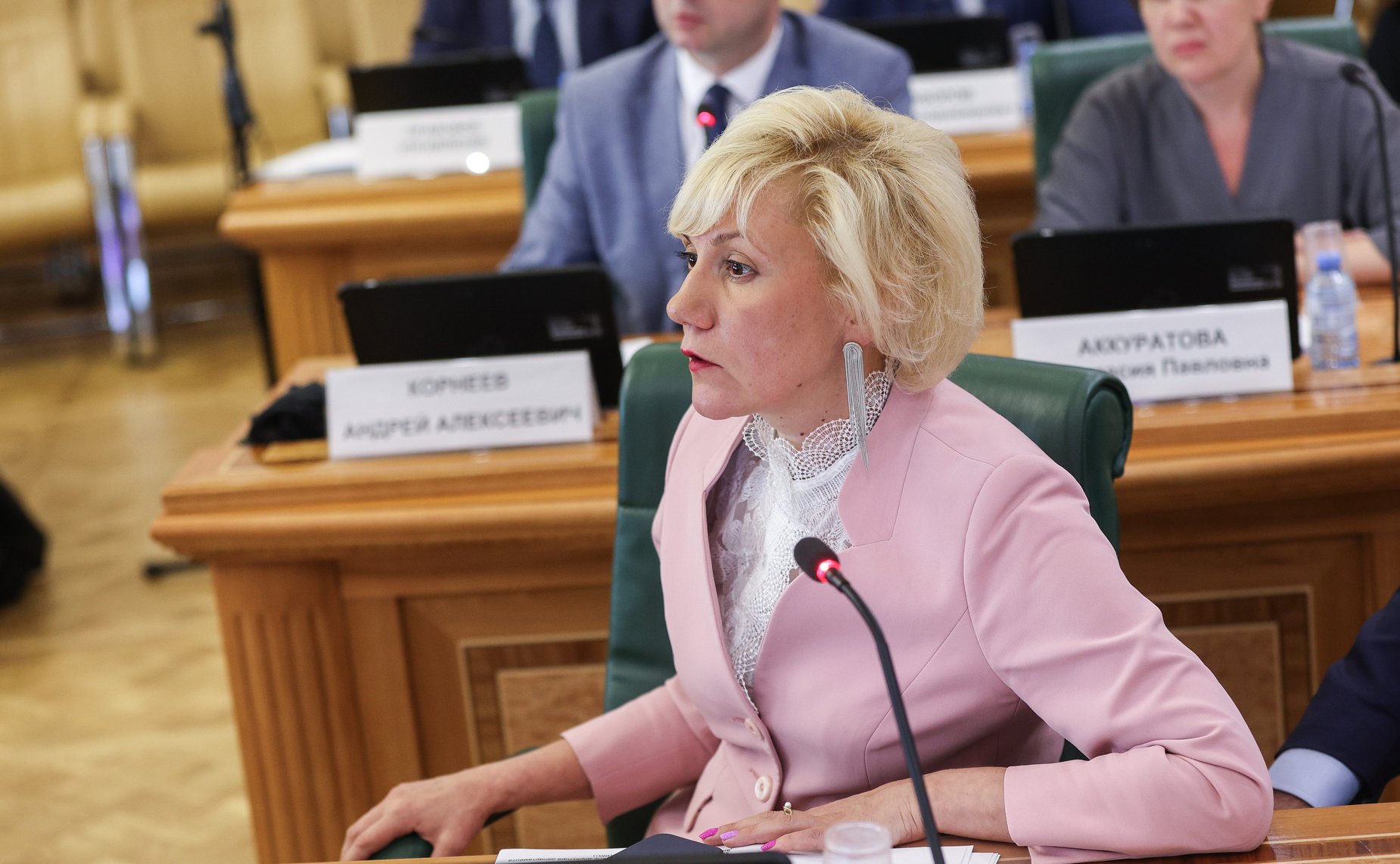 Заседание Комитета СФ по науке, образованию и культуре