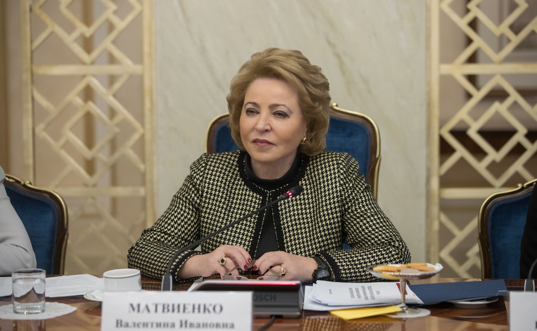 Встреча В. Матвиенко с женщинами-участницами волонтерского марафона, приуроченного к Году добровольца в России