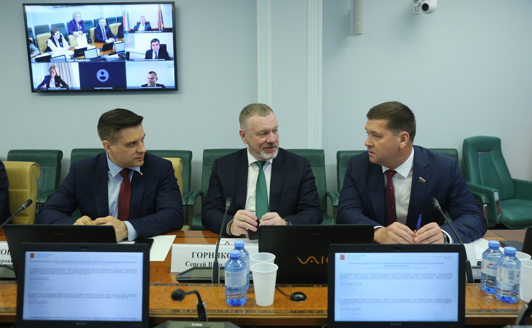 Заседание Комитета СФ по социальной политике