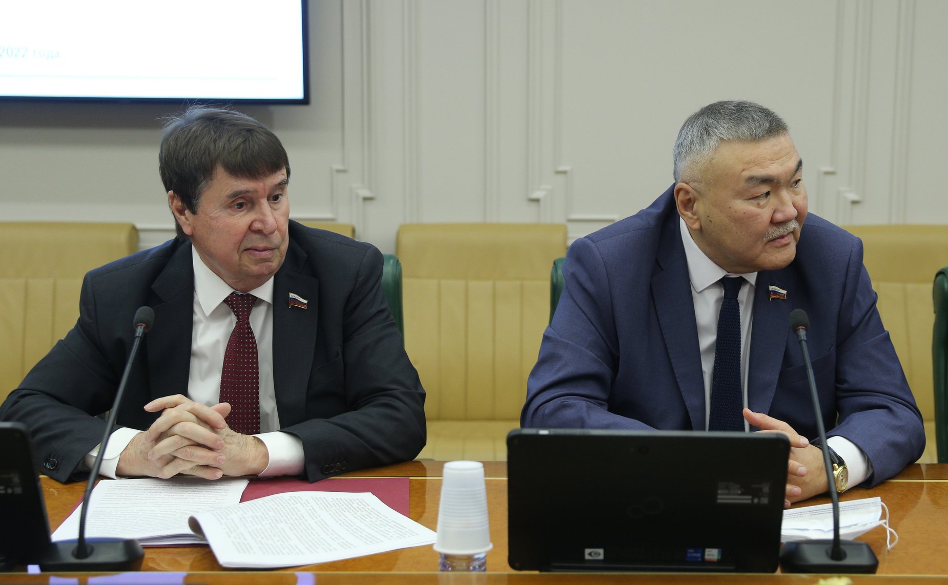 Заседание Комитета СФ по международным делам