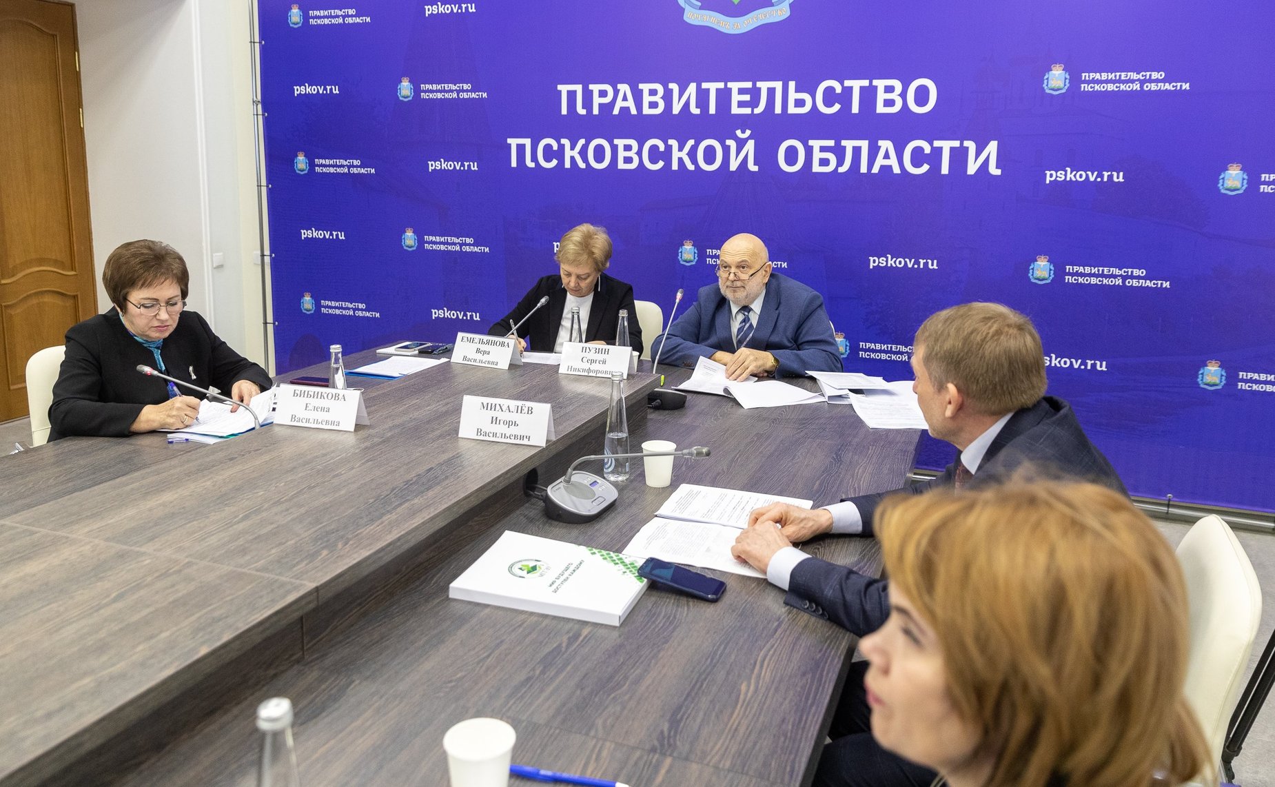 Елена Бибикова приняла участие в совещании по вопросам медпомощи пациентам с сахарным диабетом в СЗФО