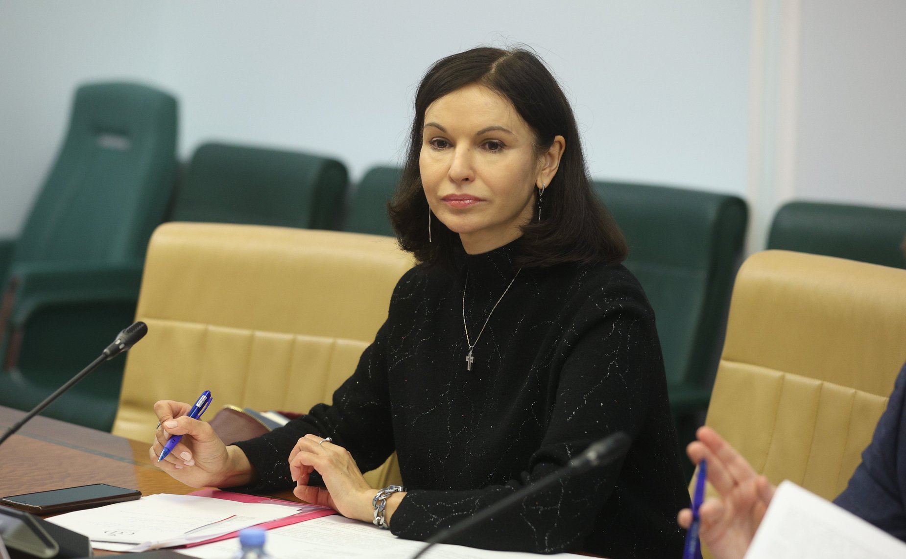 Совещание Комитета СФ по экономической политике