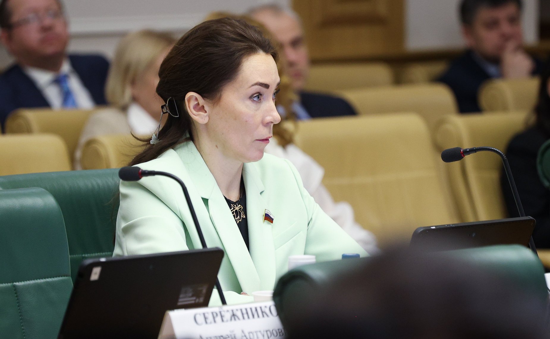 Заседание Комитета Совета Федерации по конституционному законодательству и государственному строительству