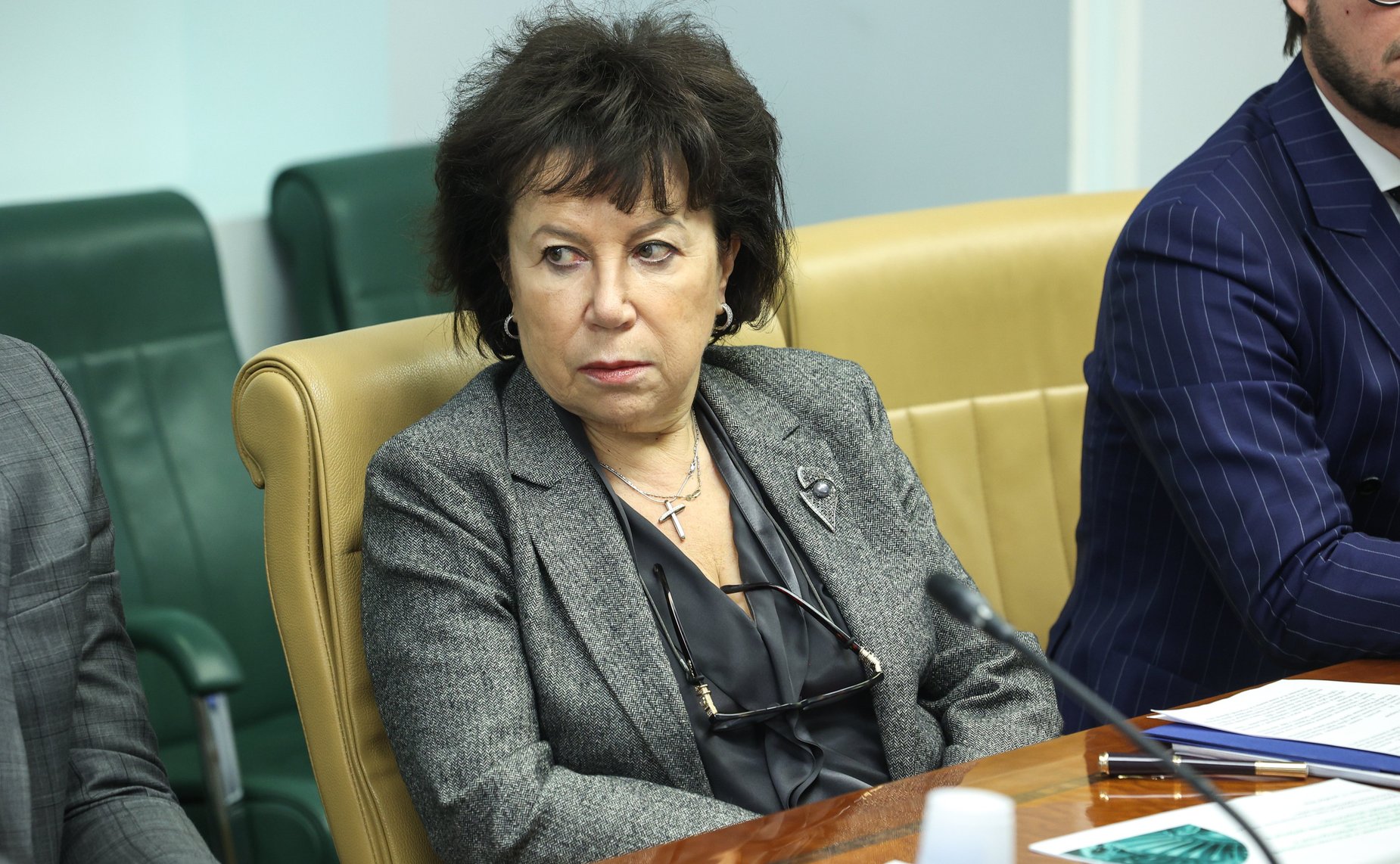 Заседание Совета по вопросам газификации субъектов Российской Федерации при Совете Федерации