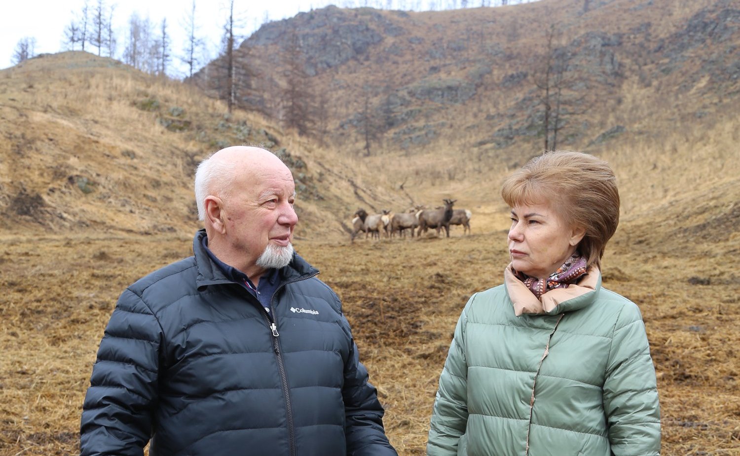 Татьяна Гигель в ходе рабочей командировки по региону побывала в мараловодческом хозяйстве ООО «Марал Толусома» Шебалинского района