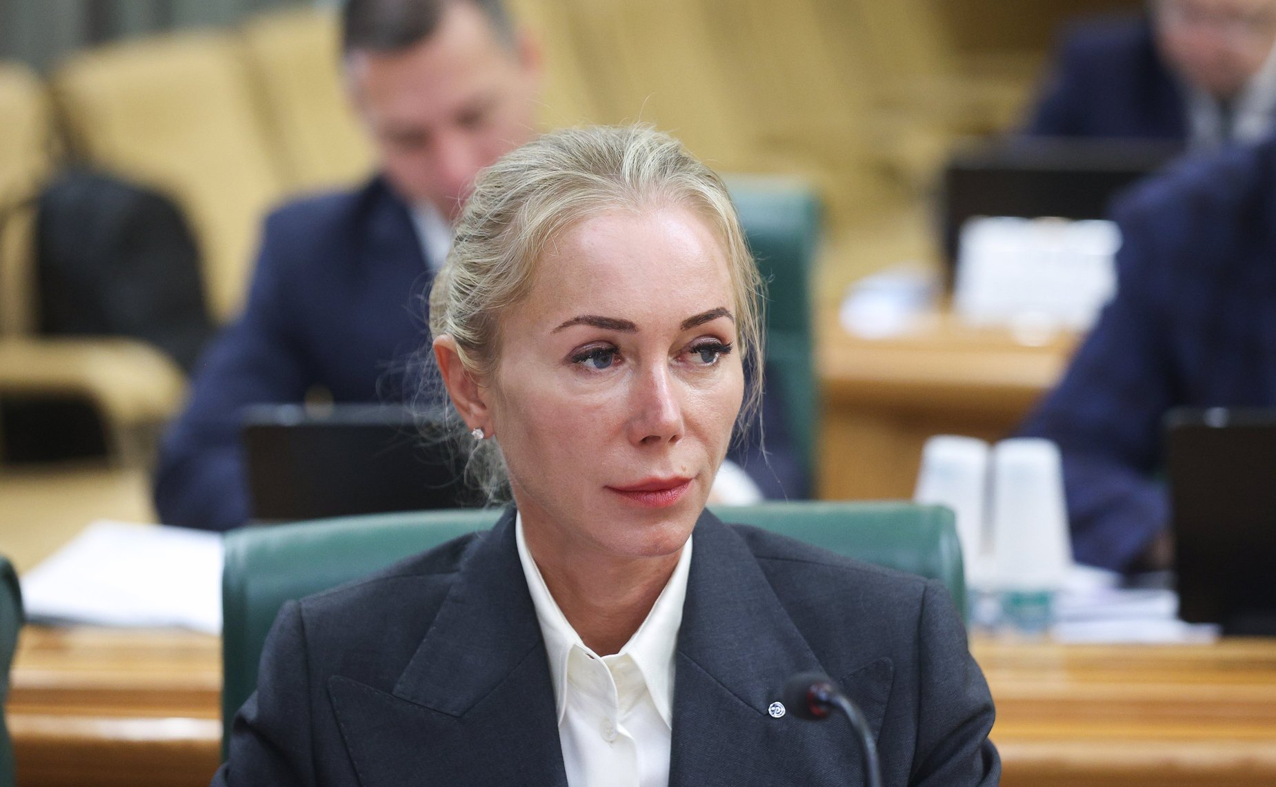 Заседание экспертно-консультативного совета при Комитете Совета Федерации по конституционному законодательству и государственному строительству