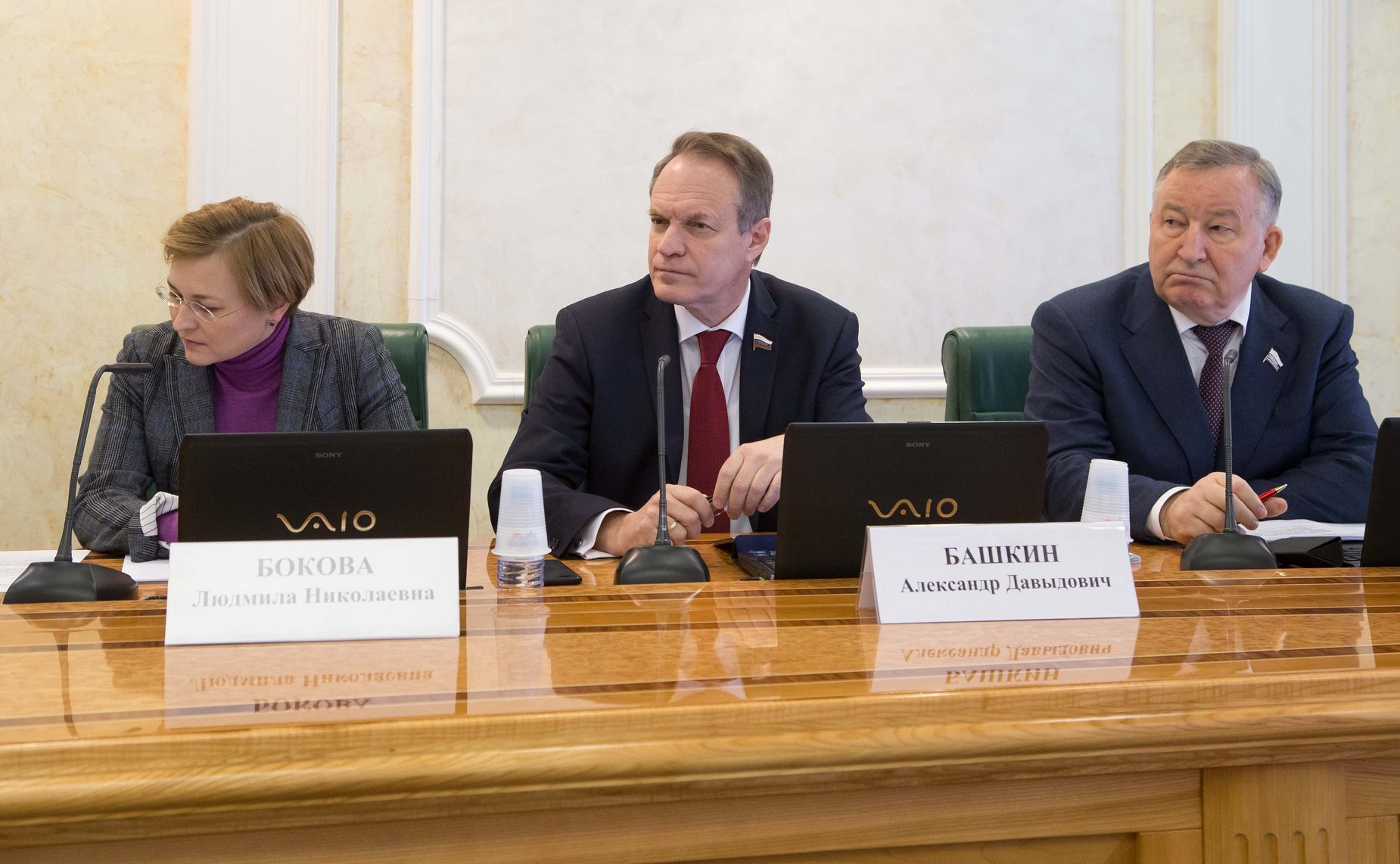 Заседание Комитета СФ по конституционному законодательству и государственному строительству