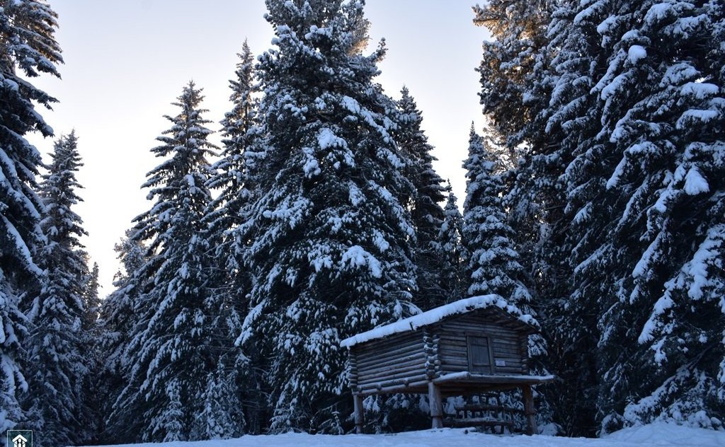 Александр Новьюхов посетил Этнографический музей «Торум Маа»