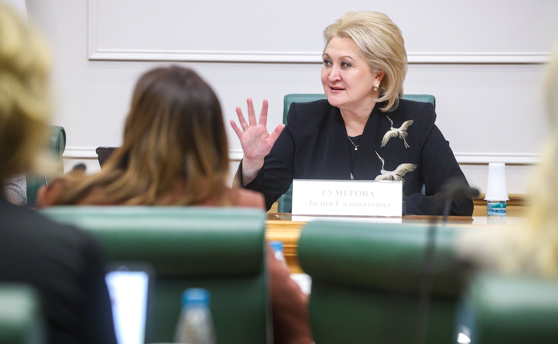 Встреча председателя Комитета СФ по науке, образованию и культуре Лилии Гумеровой с участниками окружных семейно-демографических конференций