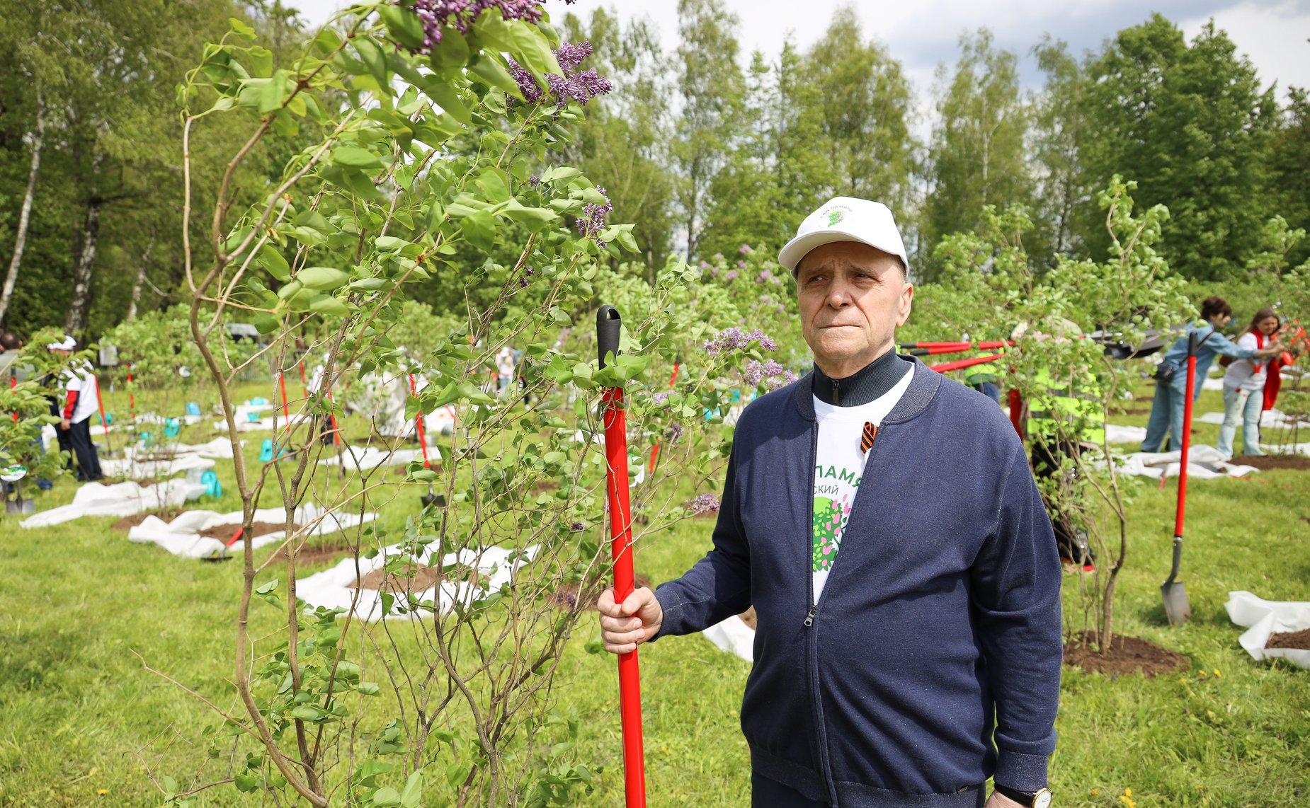 В Год защитника Отечества и 80-летия Победы в Великой Отечественной войне 1941–1945 годов сенаторы РФ и сотрудники Аппарата СФ провели акцию «Сад Памяти» — высадили 250 кустов сирени в музее-заповеднике «Горки Ленинские»