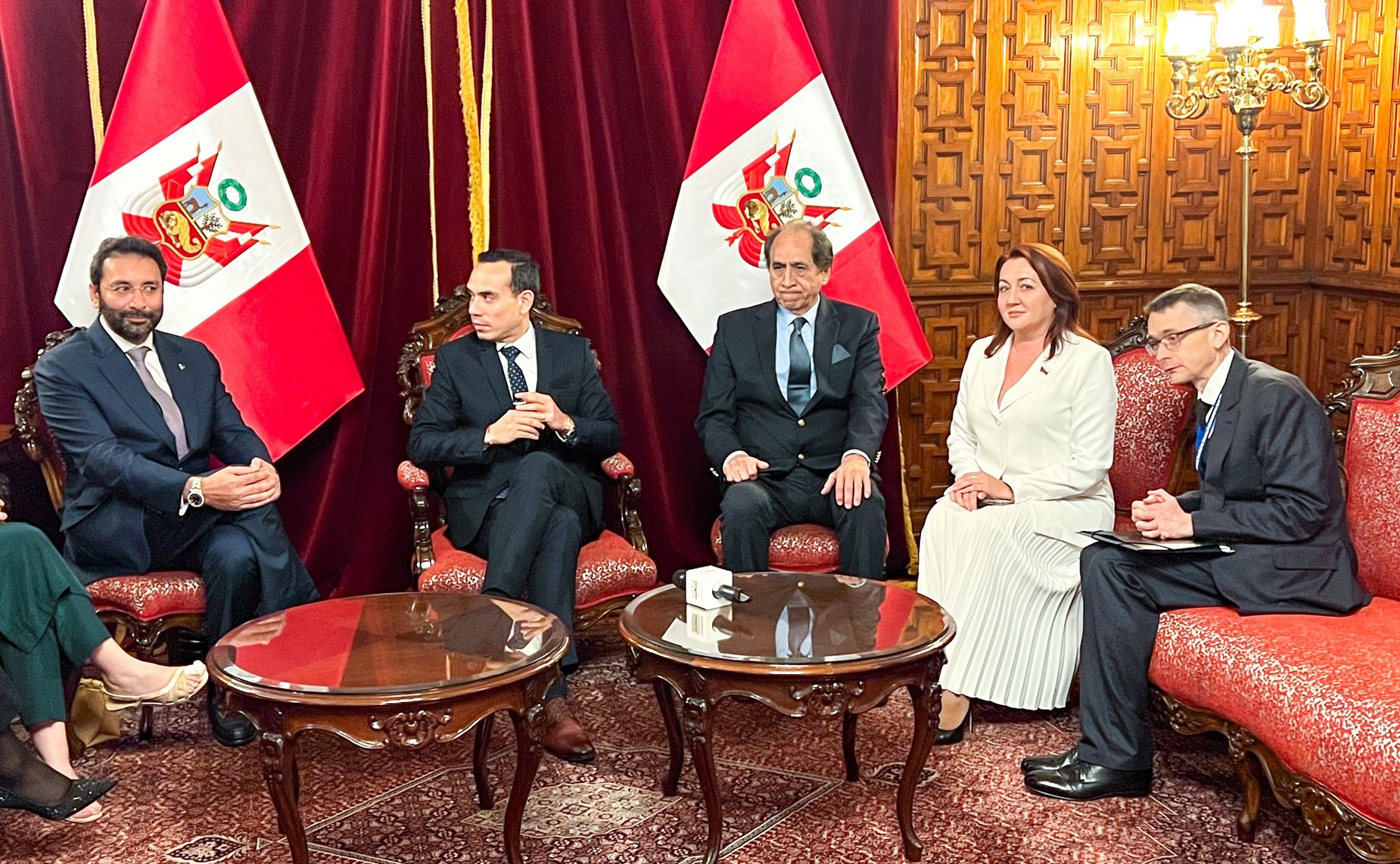 Наталья Кувшинова и Айрат Гибатдинов встретились с Председателем Конгресса Республики Перу Хосе Энрике Хери Оре и с его вторым заместителем Вальдемаром Серроном Рохасом