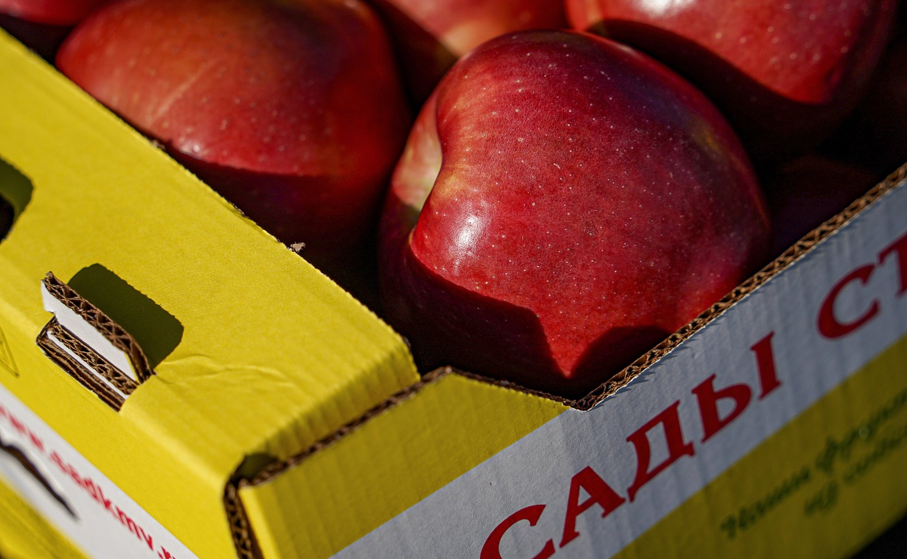 Выездное заседание Совета по вопросам аграрно-промышленного комплекса и природопользования при СФ