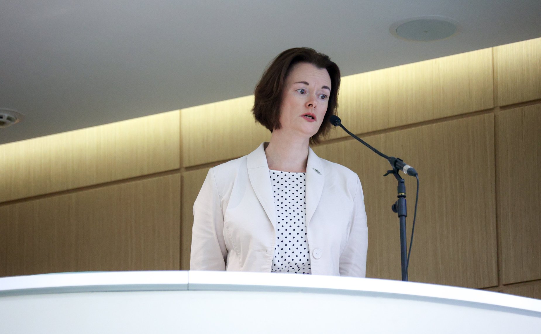 594-е заседание Совета Федерации