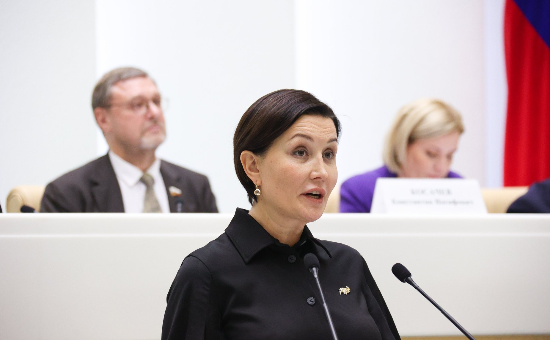 Парламентские слушания на тему «Сохранение объектов культурного наследия (памятников истории и культуры) народов Российской Федерации: программный подход и законодательное обеспечение»