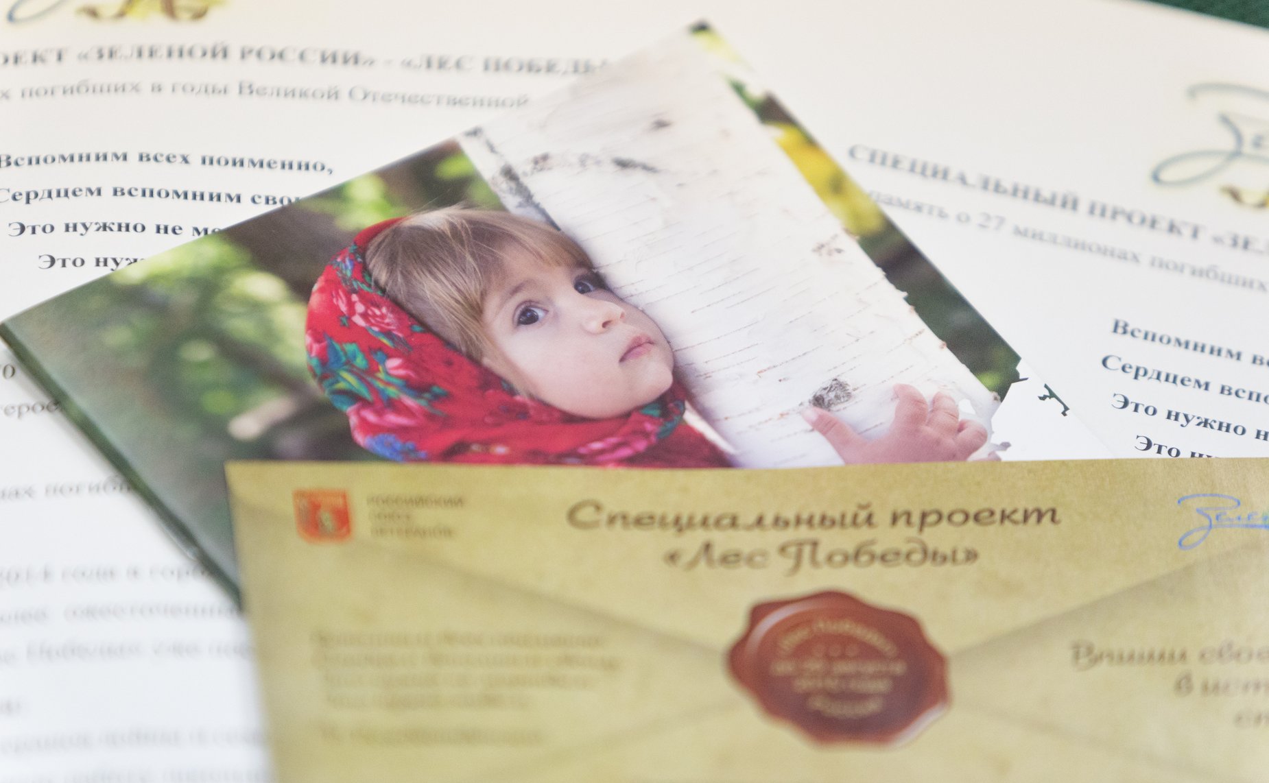 Пресс-конференция, посвященная реализации всероссийского проекта «Лес Победы»