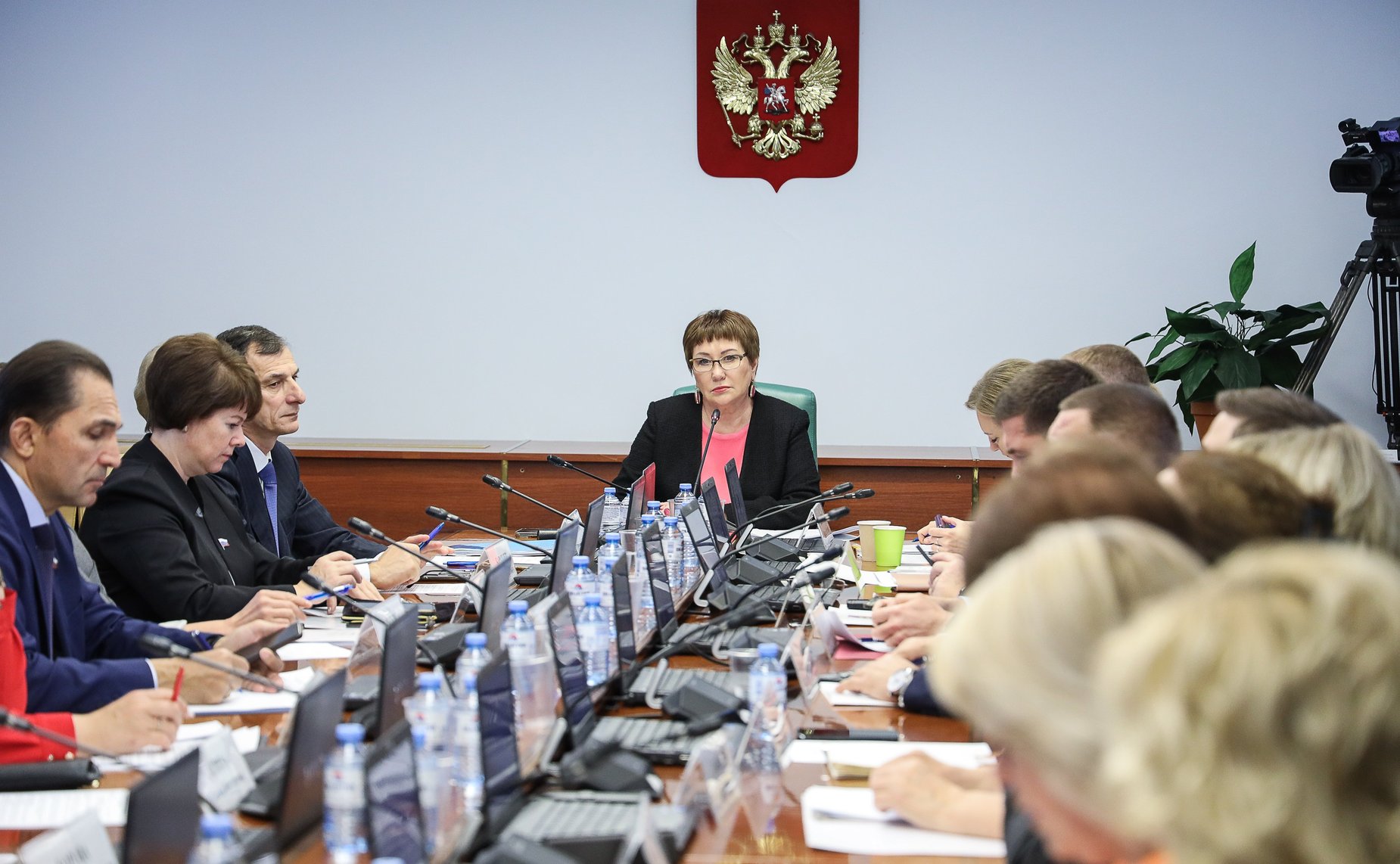 Расширенное заседание Комитета СФ по социальной политике (в рамках Дней Республики Марий Эл в СФ)