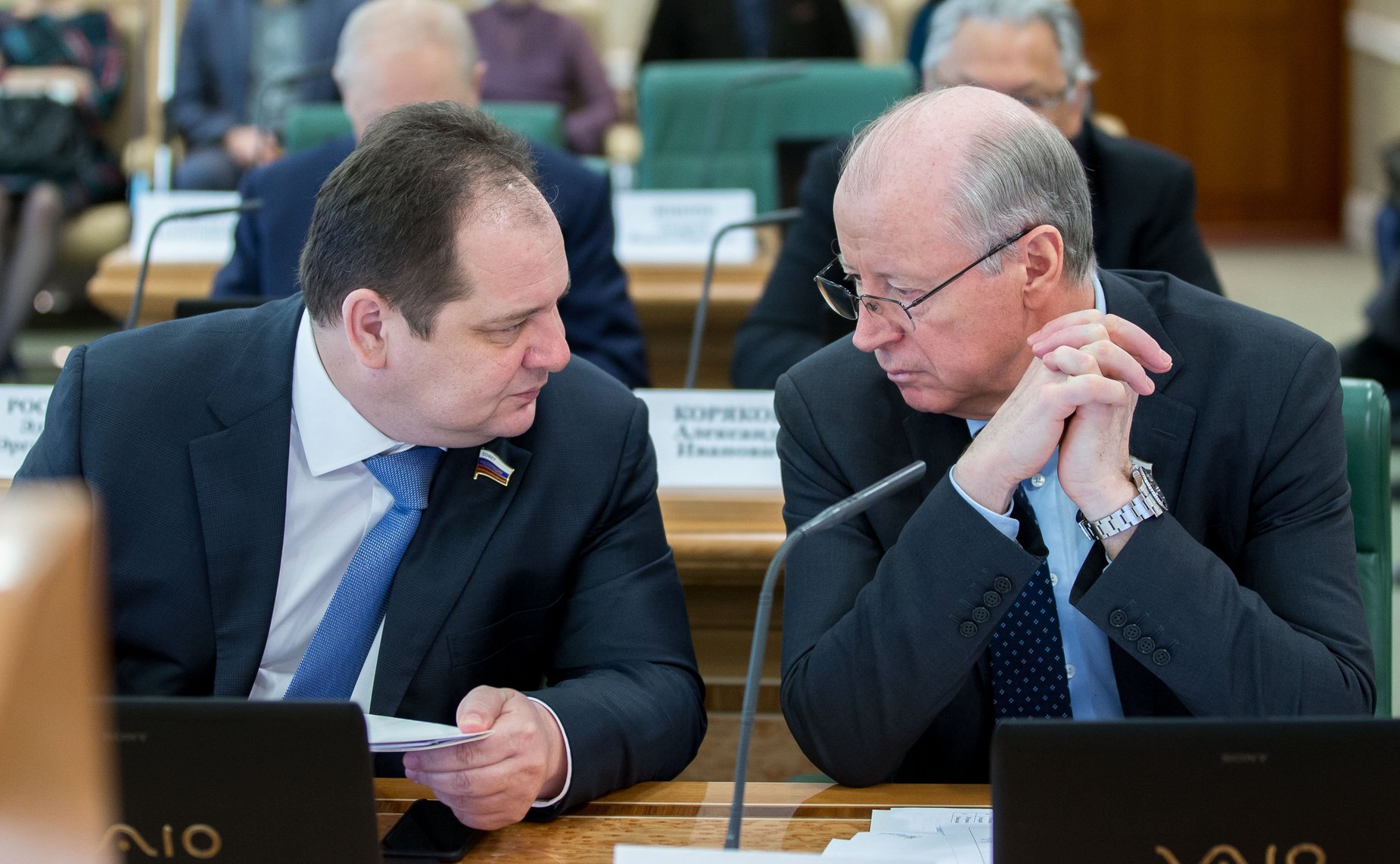 Р. Гольдштейн и Н. Петрушкин