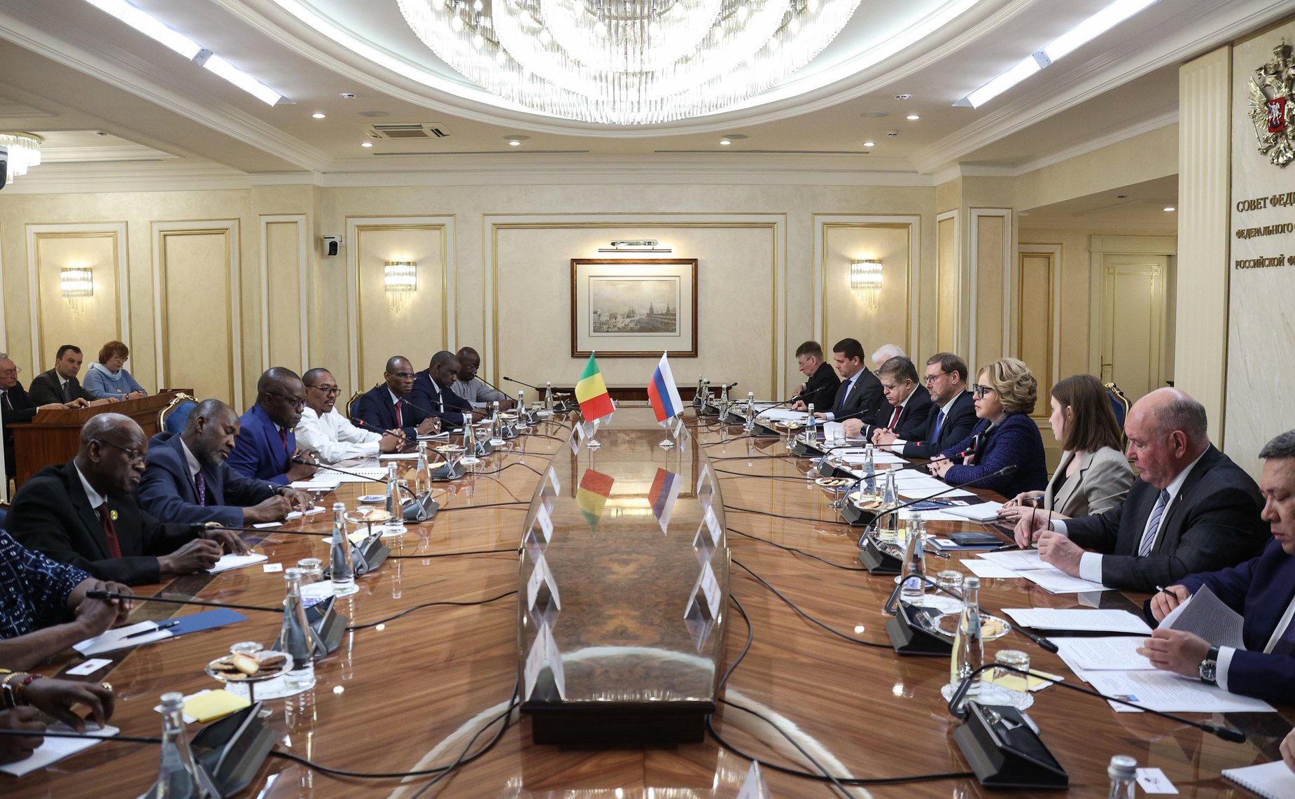 Встреча Председателя Совета Федерации Валентины Матвиенко с Председателем Национального переходного совета Республики Мали