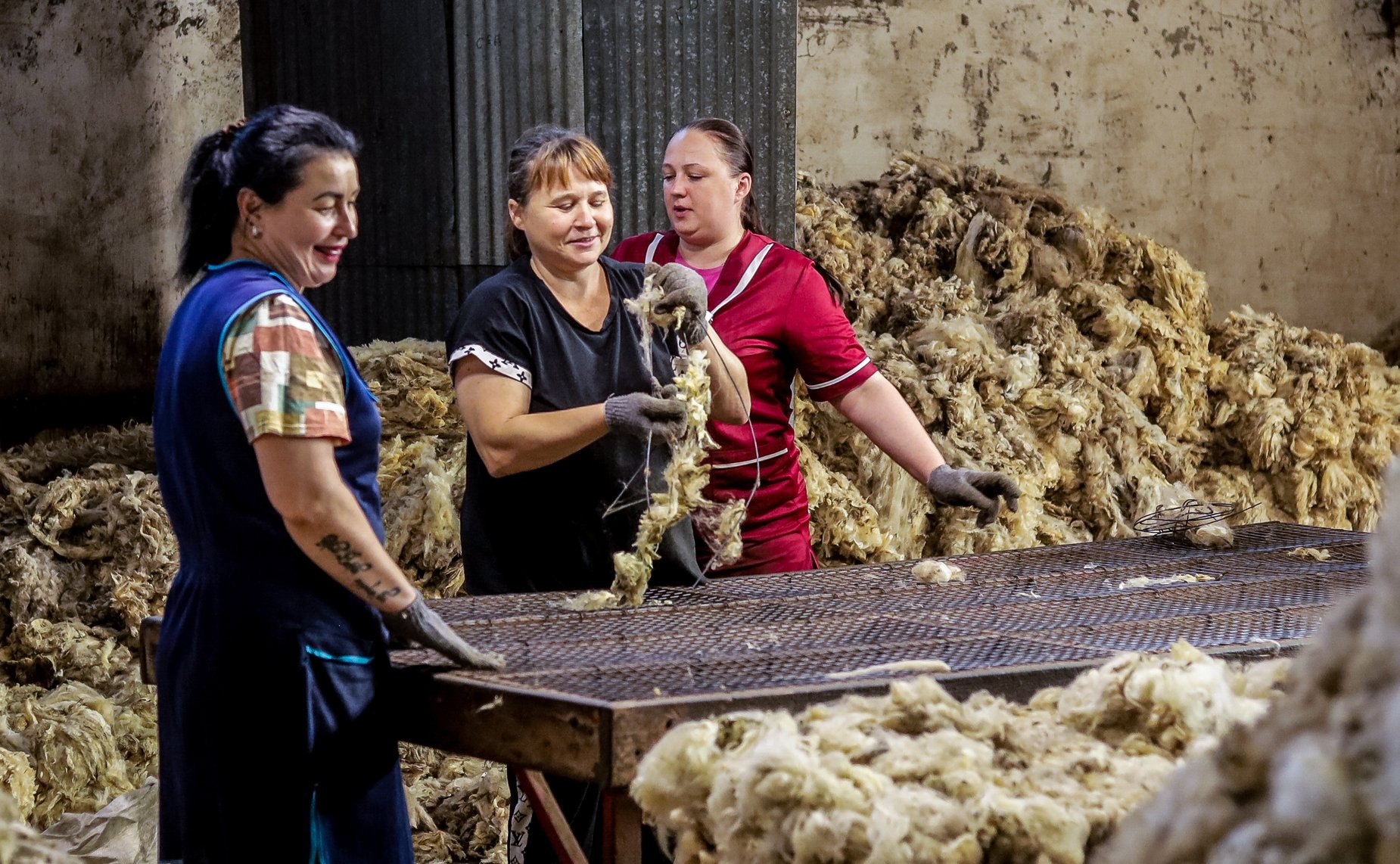 Выездное заседание Совета по вопросам аграрно-промышленного комплекса и природопользования при СФ