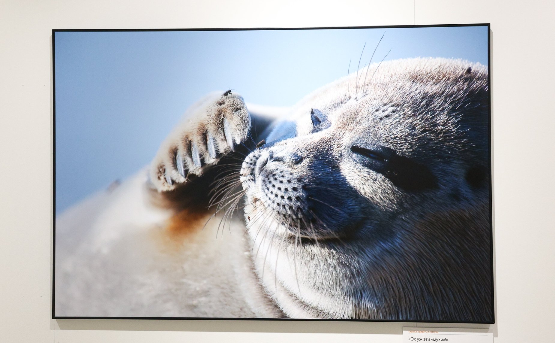 Валентина Матвиенко приняла участие в открытии XIII Общероссийского фестиваля природы «Первозданная Россия», который проходит под эгидой верхней палаты парламента