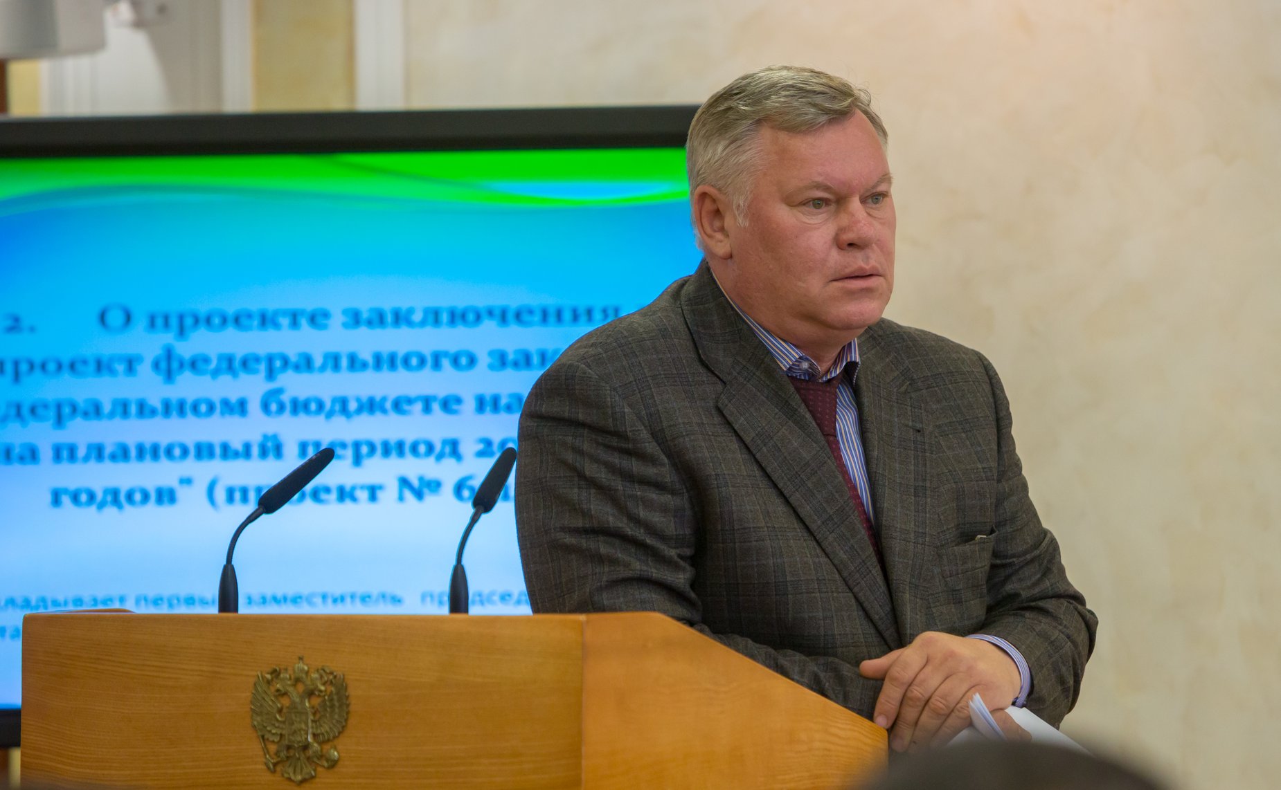 Заседание Комитета по Бюджету и финансовым рынкам-2 Петров