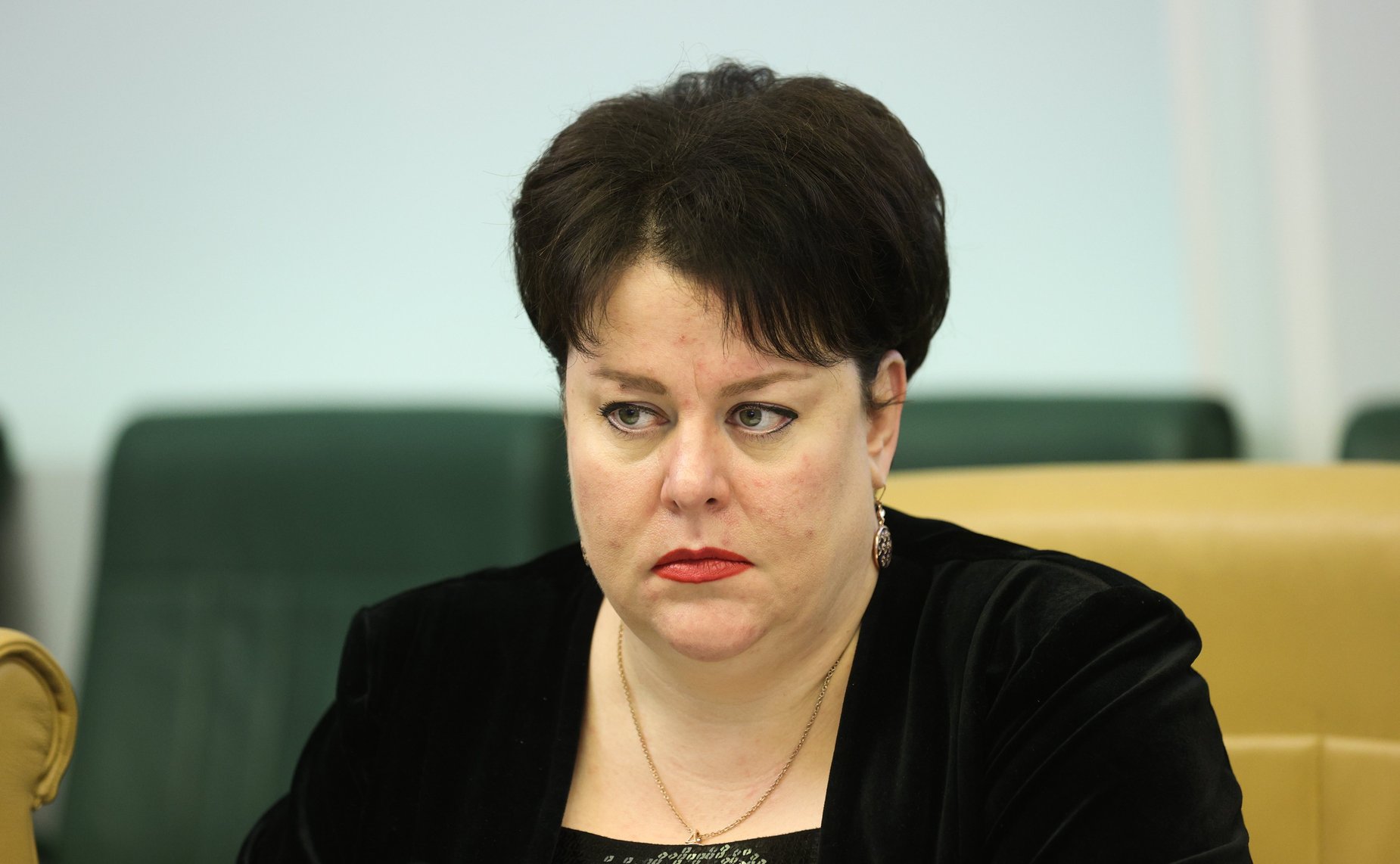 Совещание Комитета СФ по социальной политике