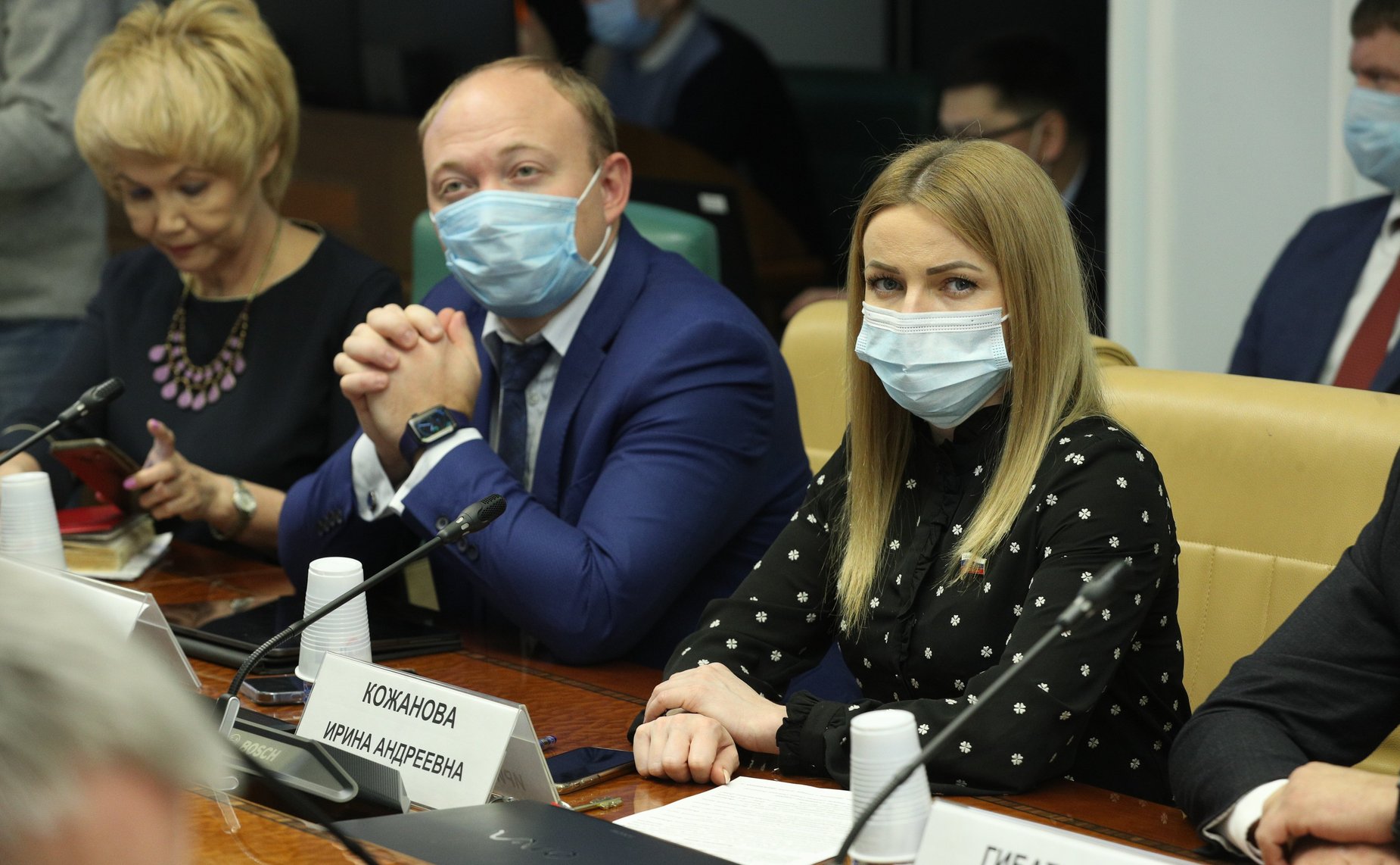 Расширенное заседание Комитета Совета Федерации по науке, образованию и культуре в рамках Дней Нижегородской области в СФ