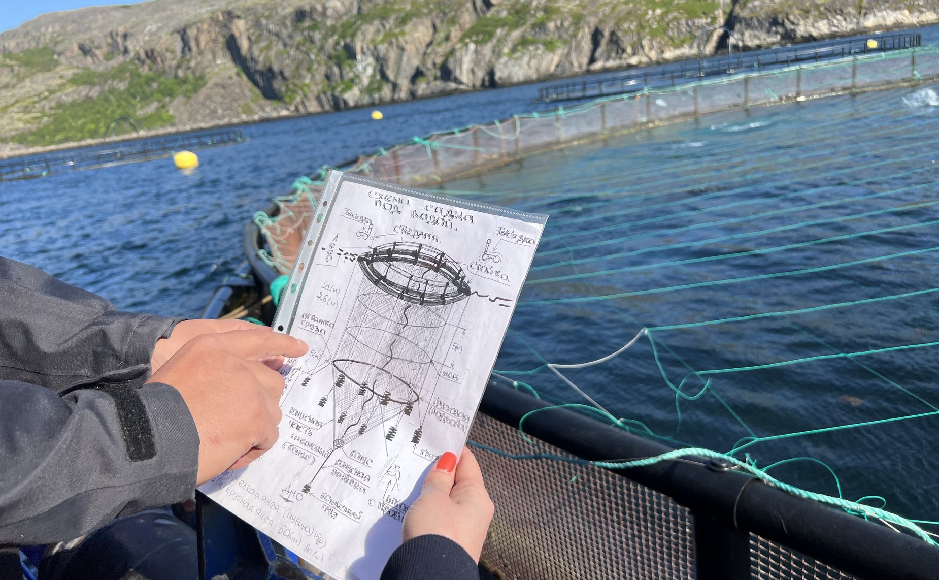 Татьяна Сахарова посетила предприятие по выращиванию атлантического лосося в Мурманской области