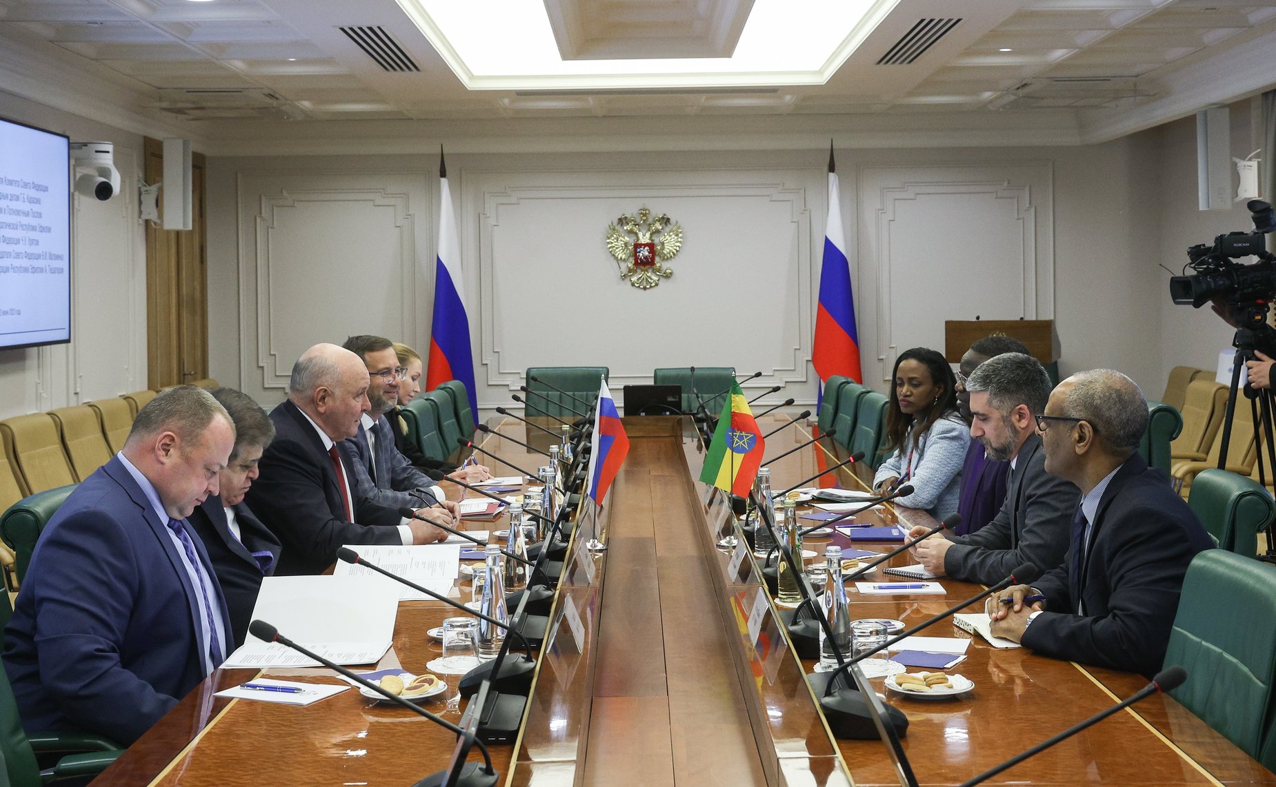 Встреча председателя Комитета СФ по международным делам Григория Карасина с Чрезвычайным и Полномочным Послом Федеральной Демократической Республики Эфиопии