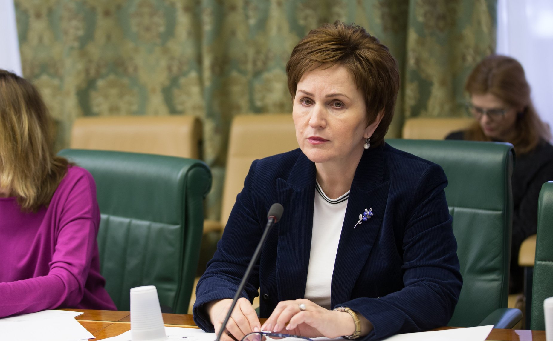 Заседание временной рабочей группы по рассмотрению вопросов создания благоприятных условий для обеспечения интереса иностранных граждан к получению образования в России