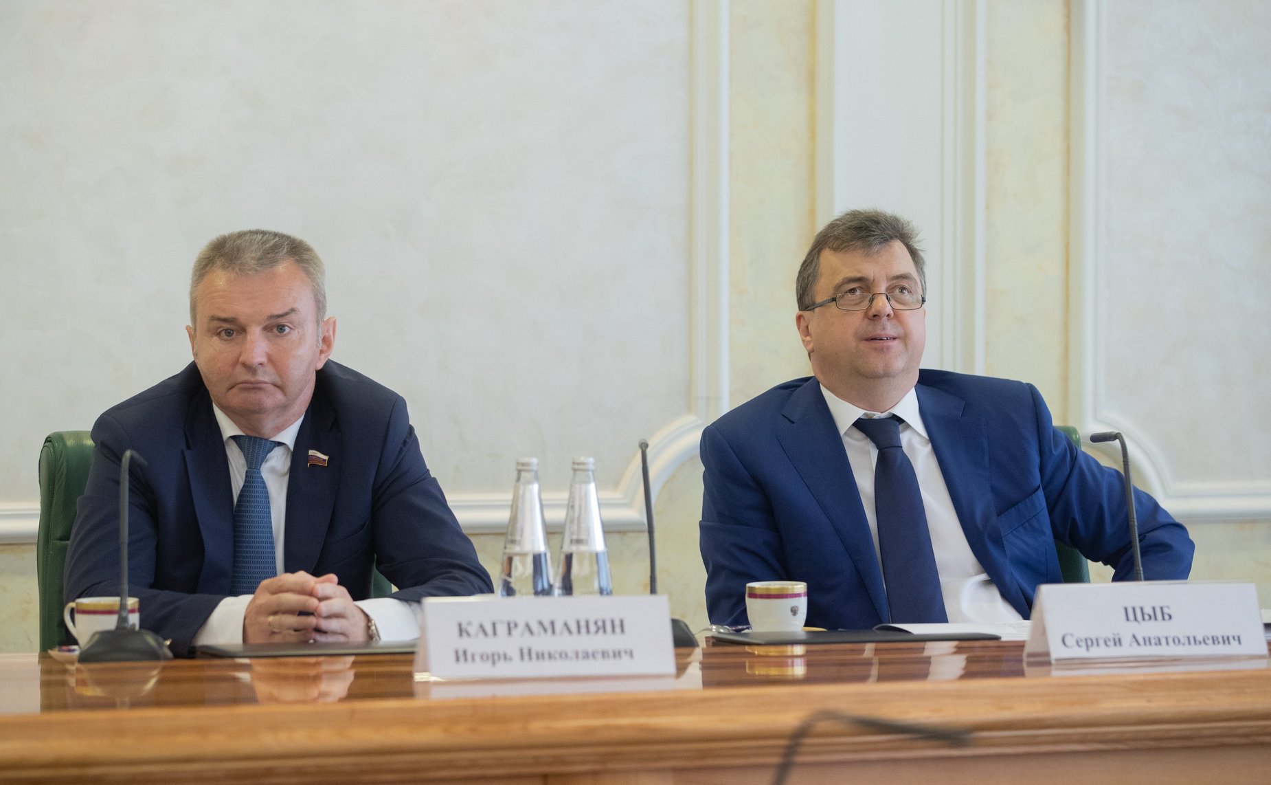 И. Каграманян и С. Цыб