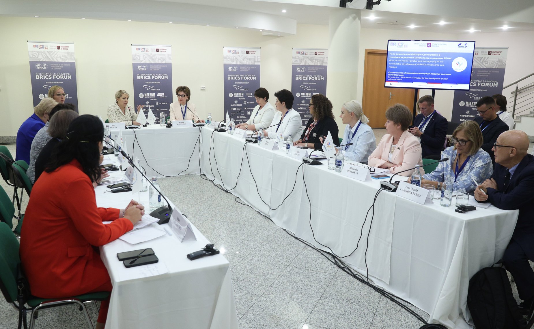 Галина Карелова выступила на круглом столе «Роль социального фактора и демографии в устойчивом развитии мегаполисов и городов БРИКС»
