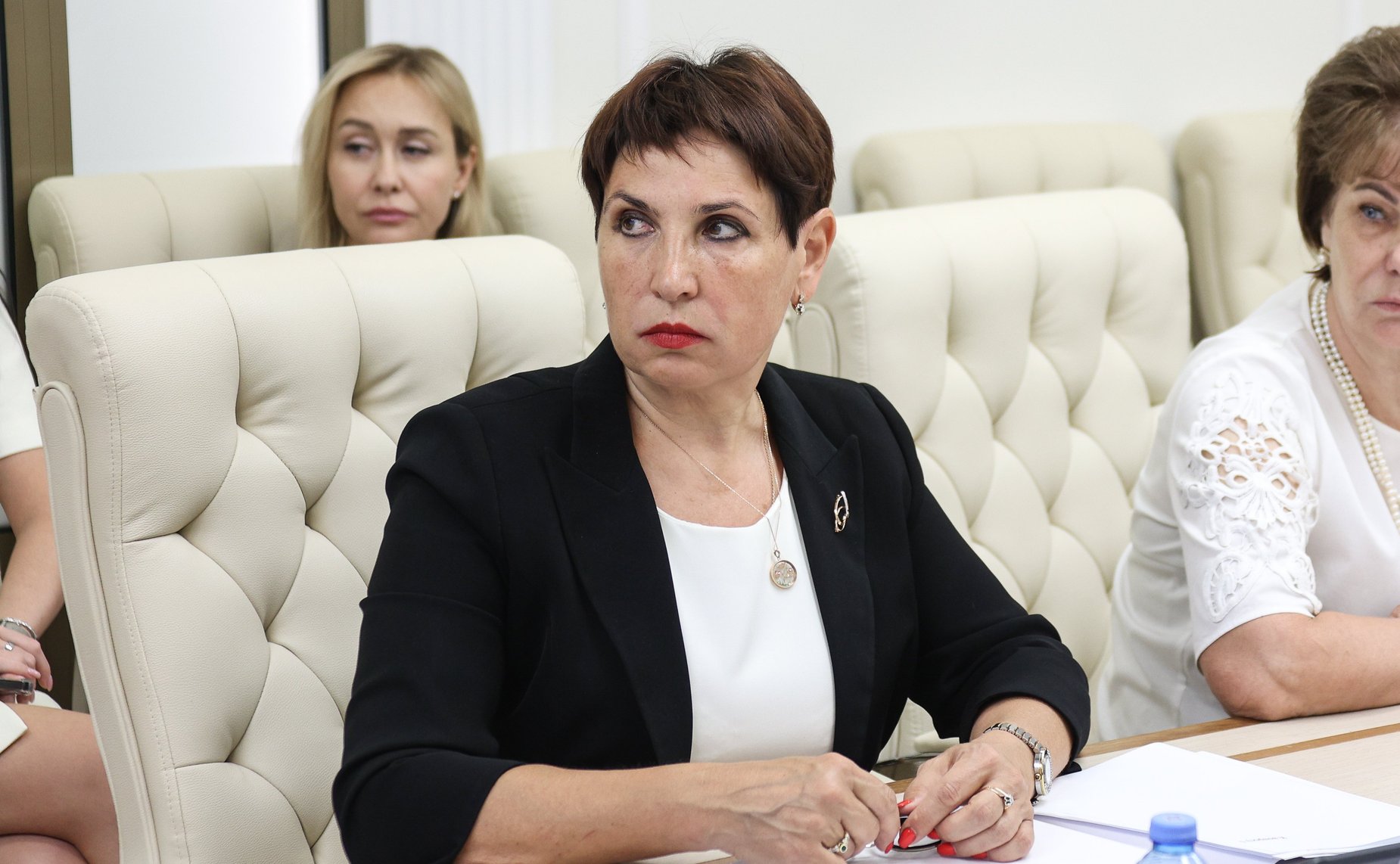 Заседание Совета по вопросам газификации субъектов РФ при СФ