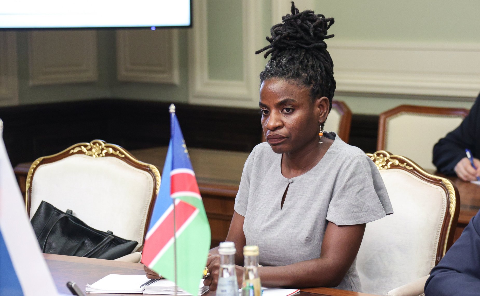 Встреча председателя Комитета СФ по международным делам Григория Карасина с Чрезвычайным и Полномочным Послом Республики Намибии в РФ