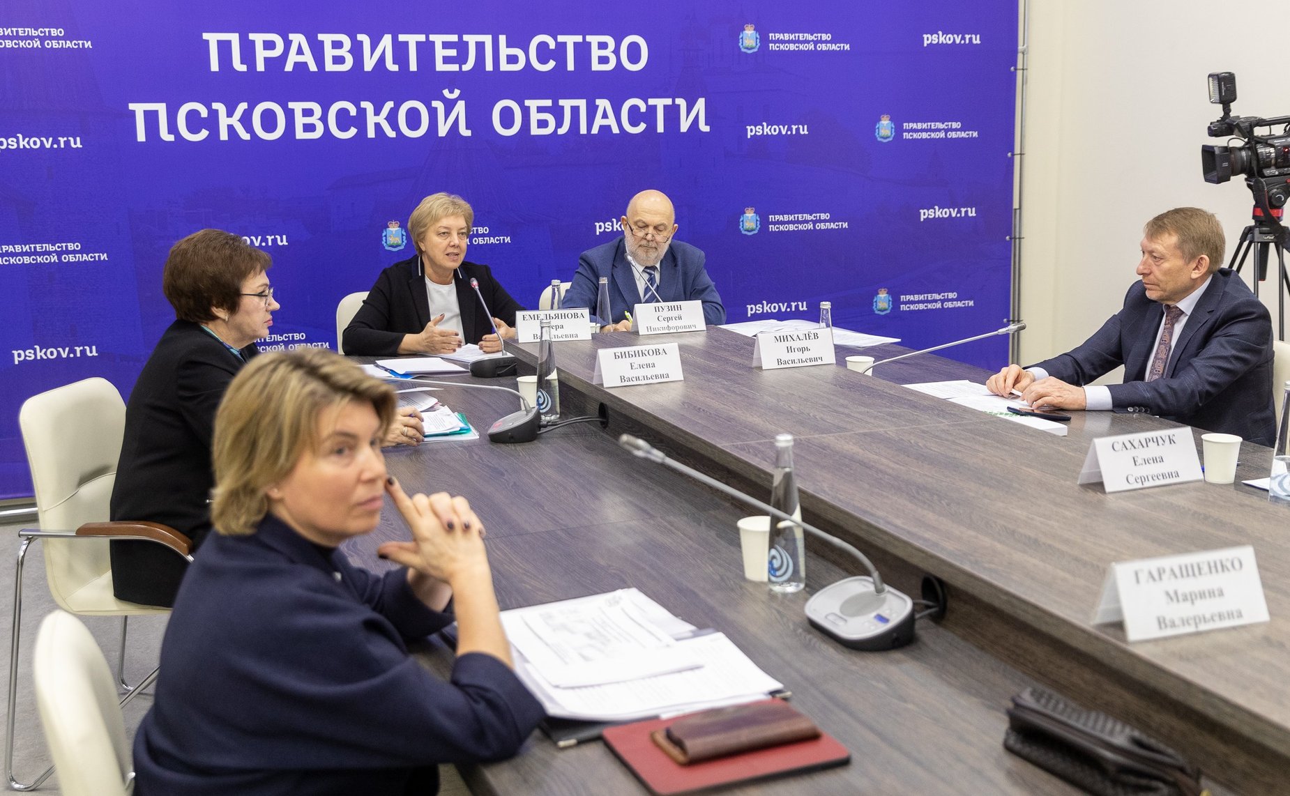 Елена Бибикова приняла участие в совещании по вопросам медпомощи пациентам с сахарным диабетом в СЗФО