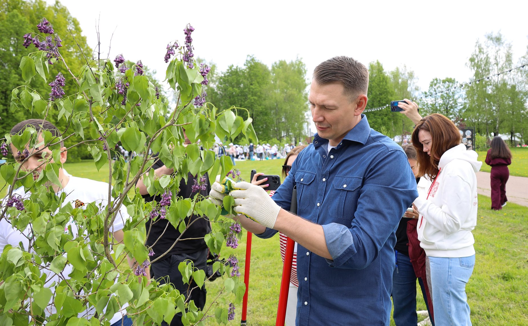 В Год защитника Отечества и 80-летия Победы в Великой Отечественной войне 1941–1945 годов сенаторы РФ и сотрудники Аппарата СФ провели акцию «Сад Памяти» — высадили 250 кустов сирени в музее-заповеднике «Горки Ленинские»