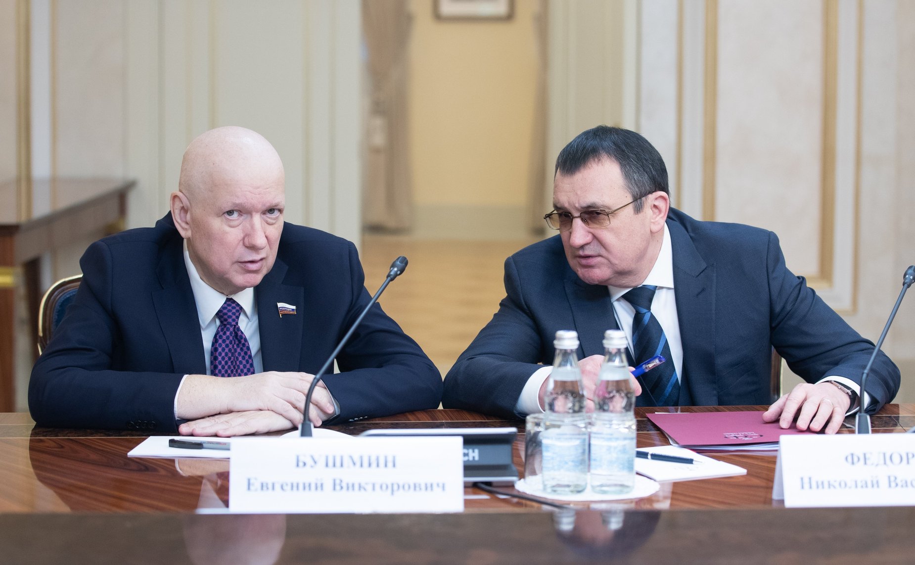 Евгений Бушмин и Николай Федоров