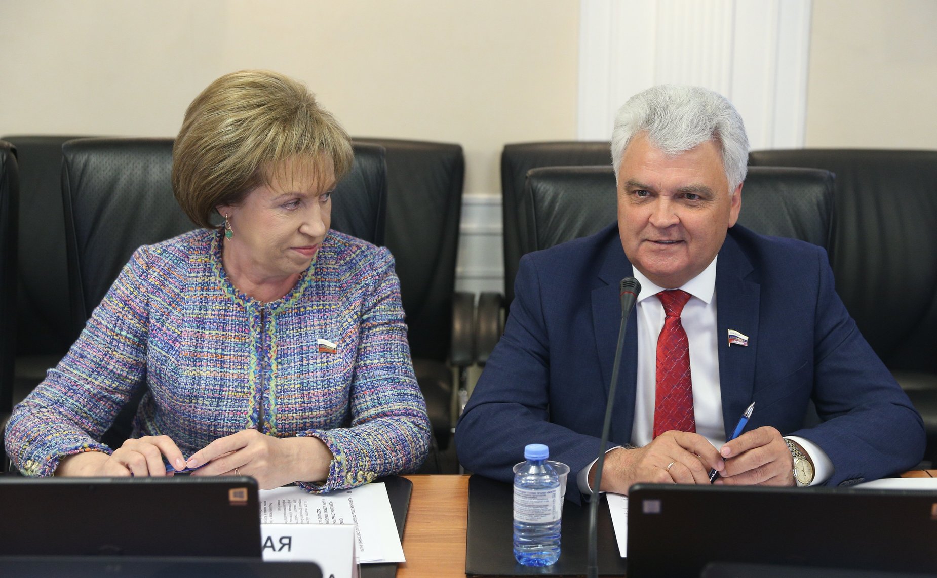 Заседание Комитета СФ по науке, образованию и культуре