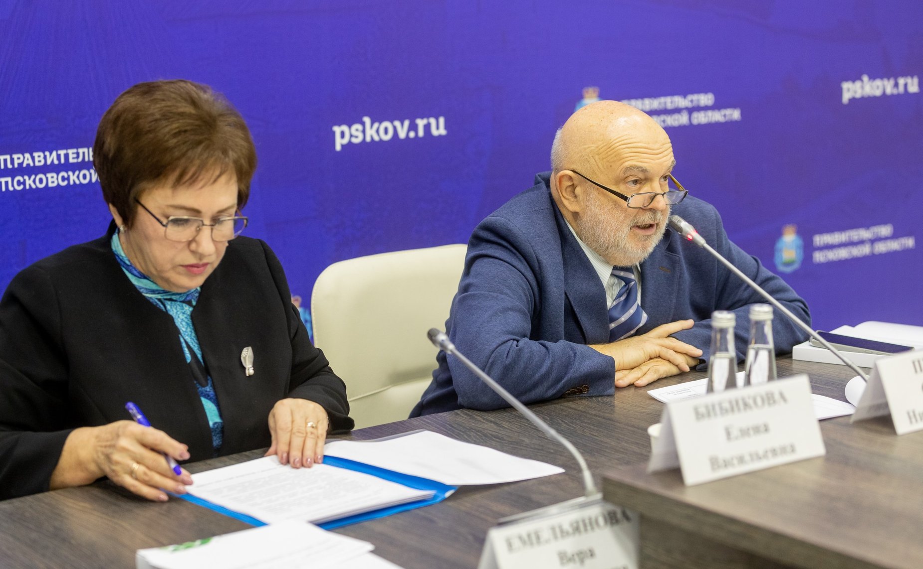 Елена Бибикова приняла участие в совещании по вопросам медпомощи пациентам с сахарным диабетом в СЗФО