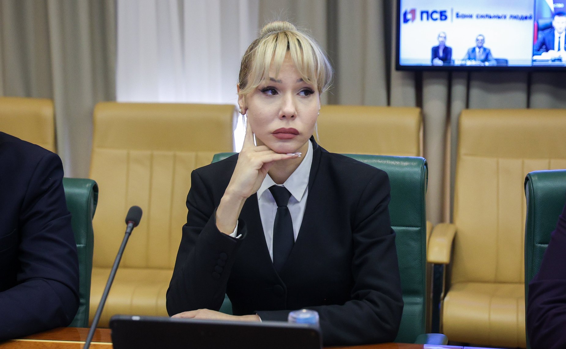 Совещание Комитета СФ по экономической политике «Вопросы восстановления и развития топливно-энергетического комплекса на территориях ДНР, ЛНР, Запорожской области и Херсонской области»