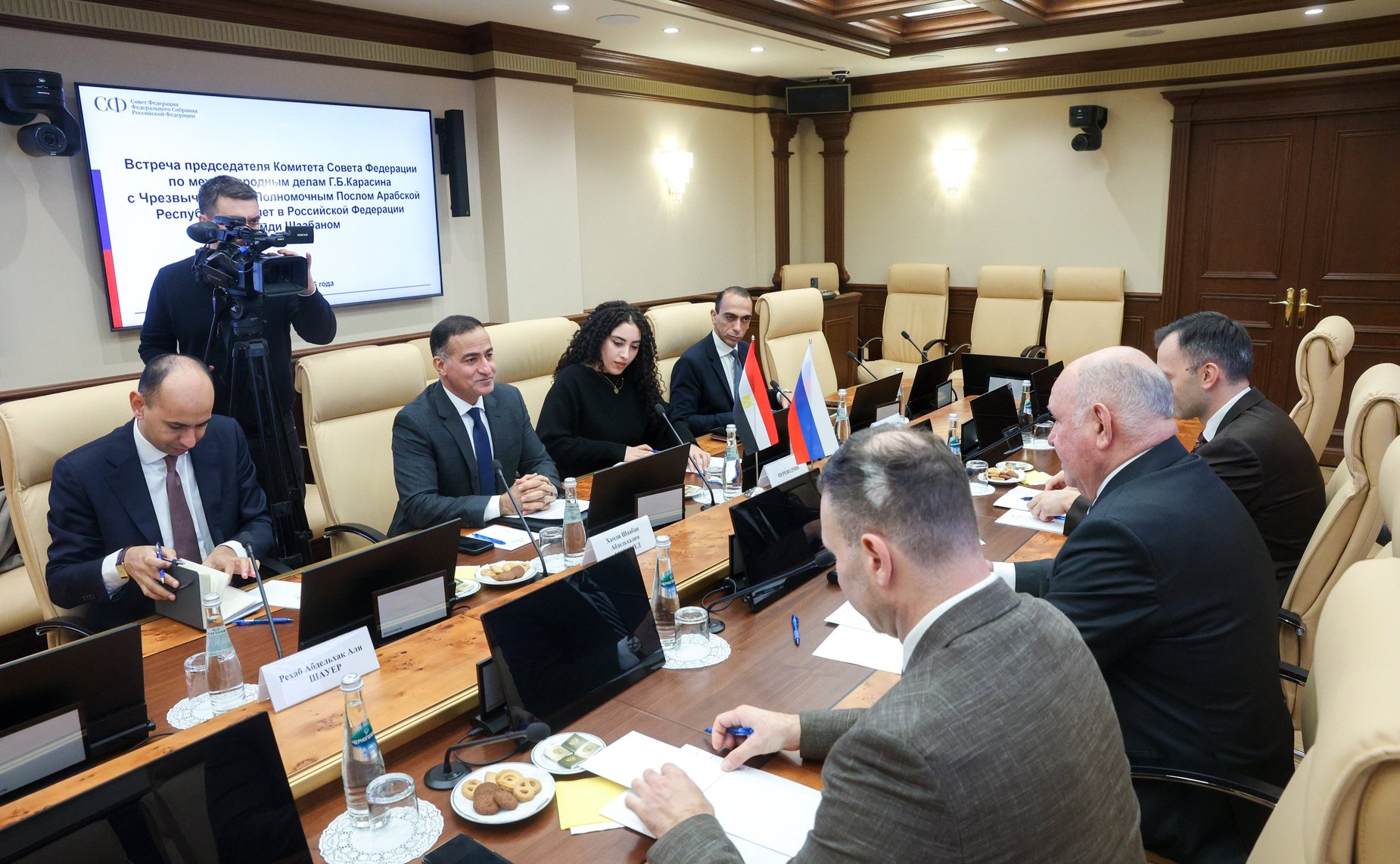 Встреча Григория Карасина с Чрезвычайным и Полномочным Послом Арабской Республики Египет в Российской Федерации