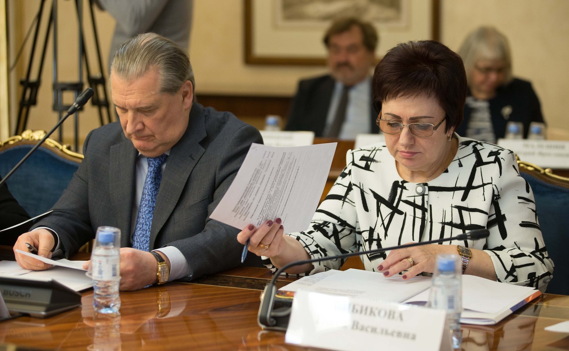 Е. Бибикова