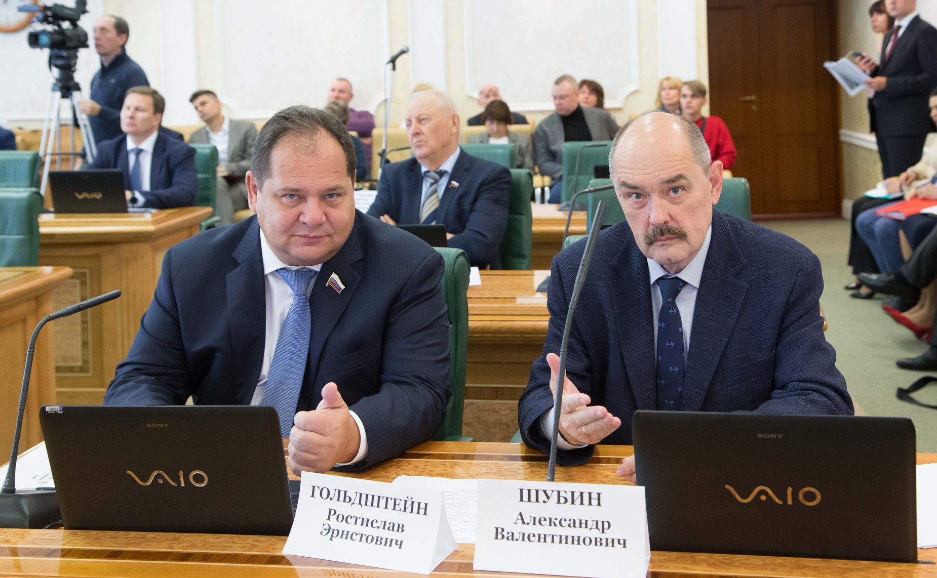 Ростислав Гольдштейн и Александр Шубин