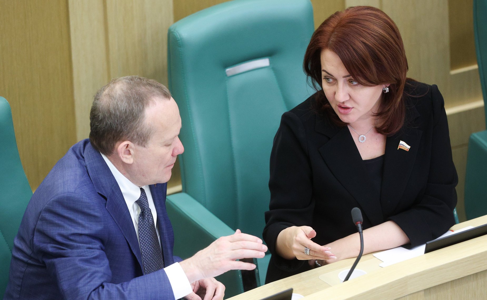 602-е заседание Совета Федерации